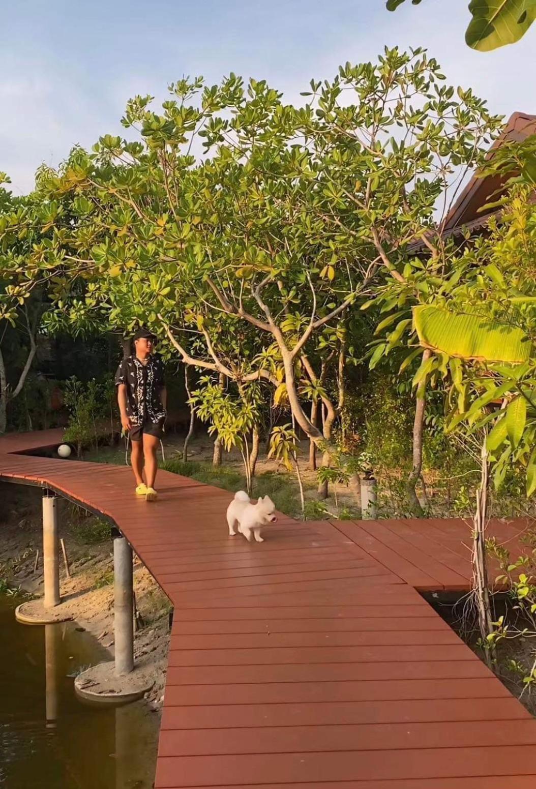 Chalet The Beatles Lagoon Chalong