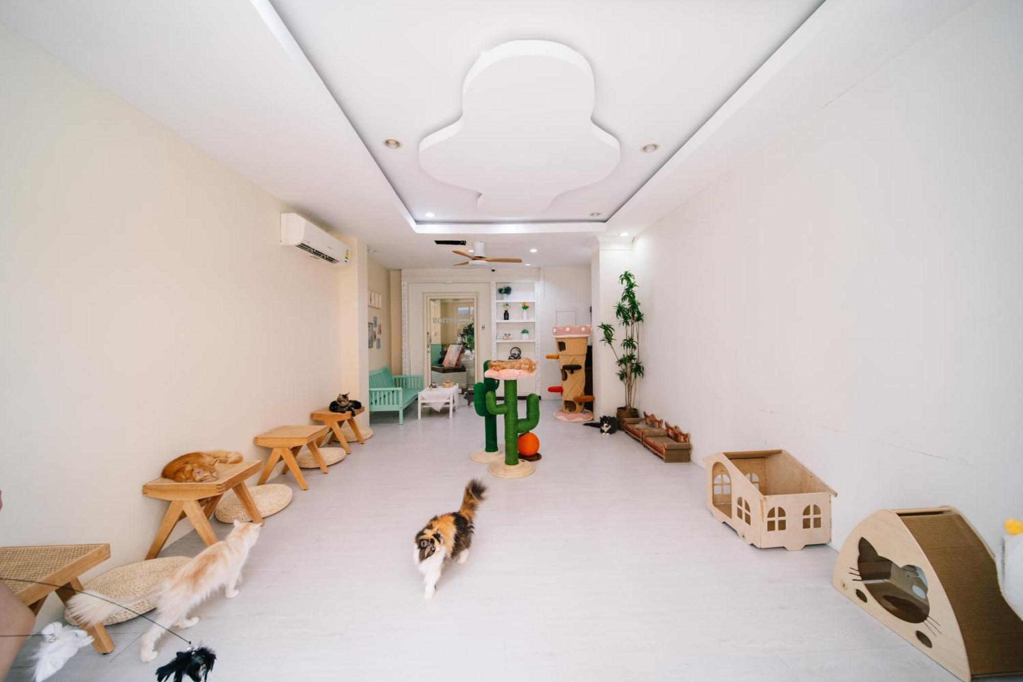 Catnip Seaside Hotel&cafe 3* Kathu