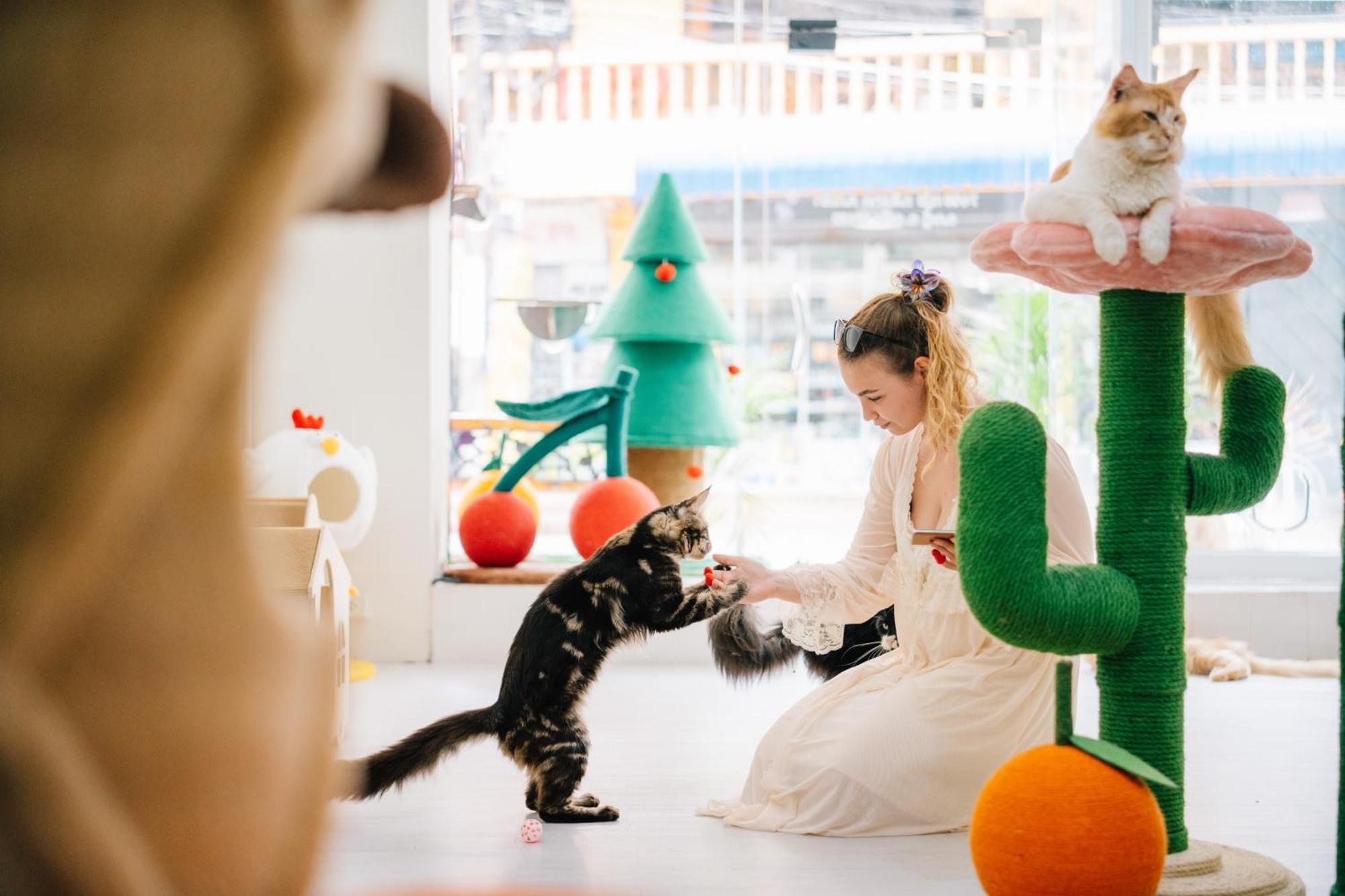 Catnip Seaside Hotel&cafe 3*