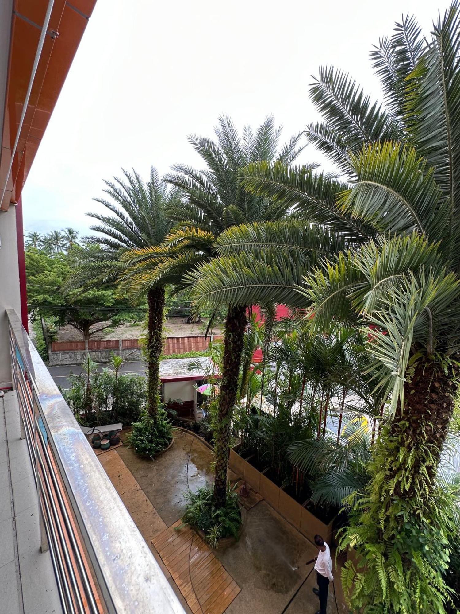 1 Bedroom Cozy Walking Distance To The Beach! Apartment Ban Bo Sai Klang