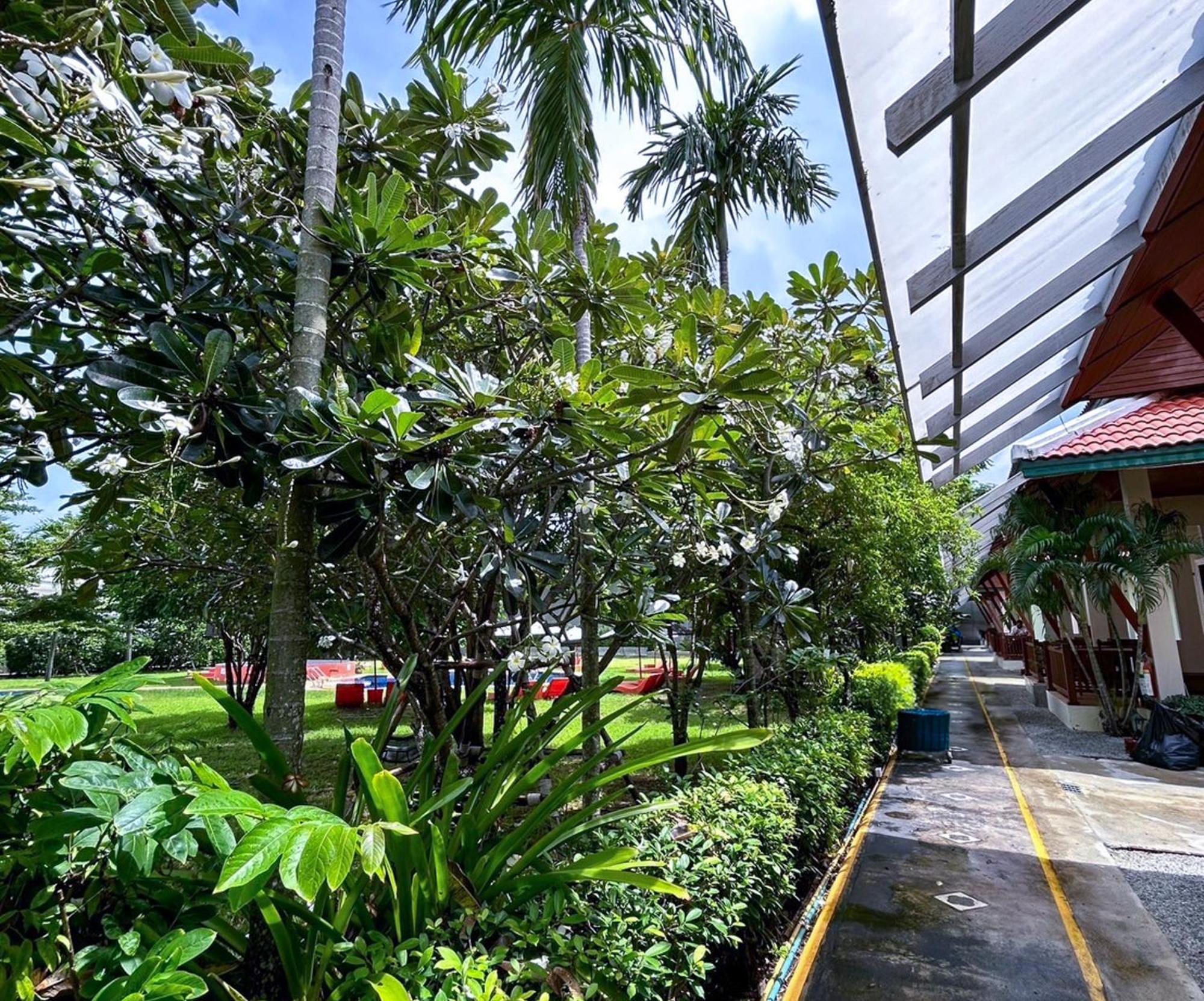 Kata Forte Resort 3*