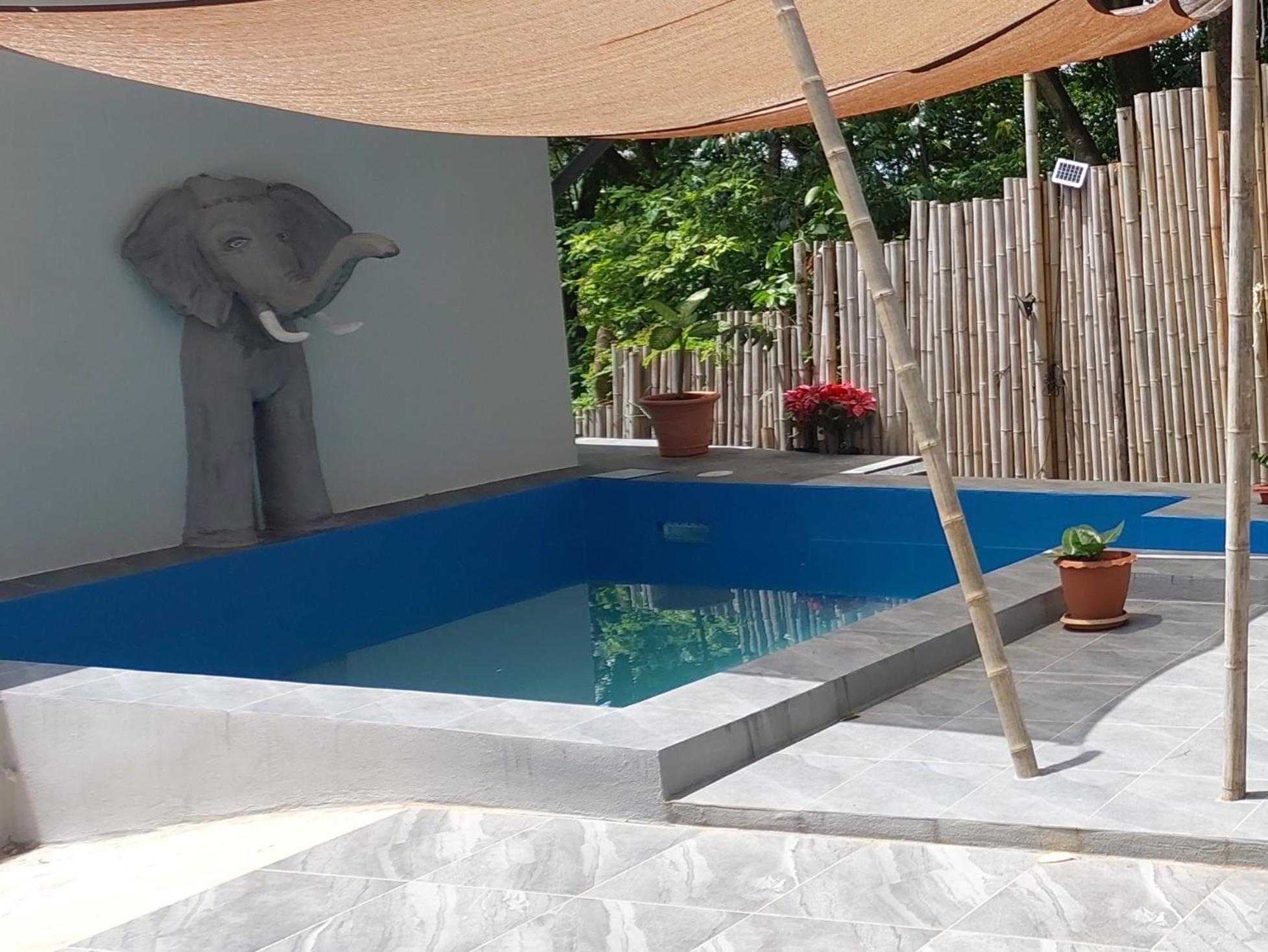 Bali Nittaya *