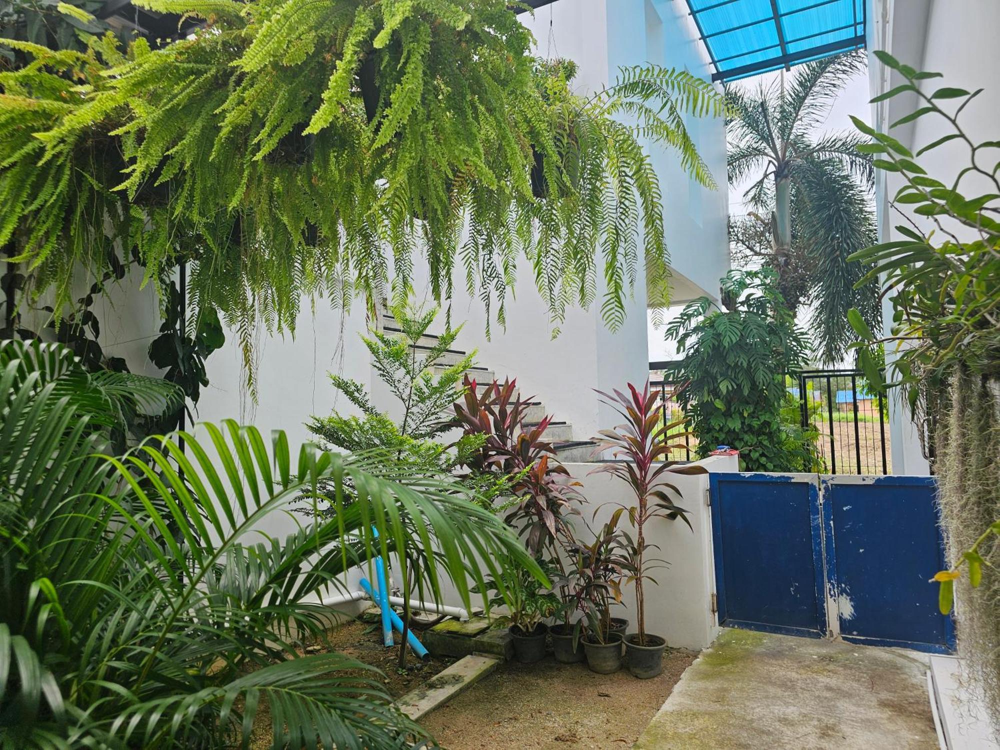 Andaman At Rawai Homestay *