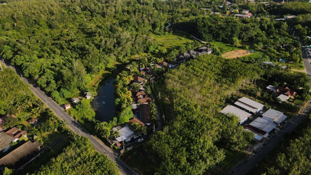 De Palm Poolvilla Phuket Villa