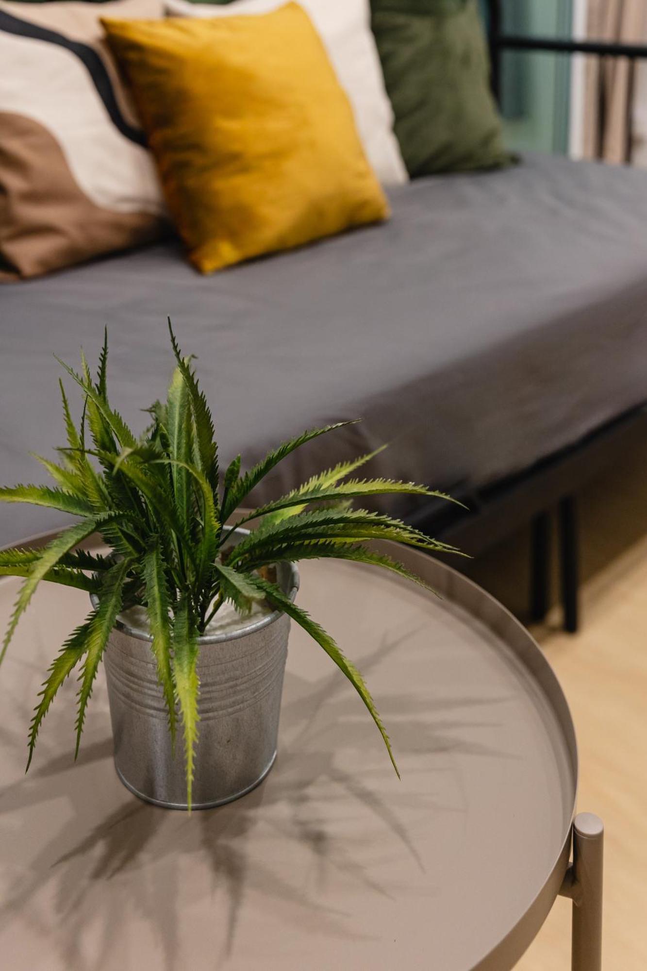 Budget Prime Location 2 Bedroom 6 Persons Apartment Patong