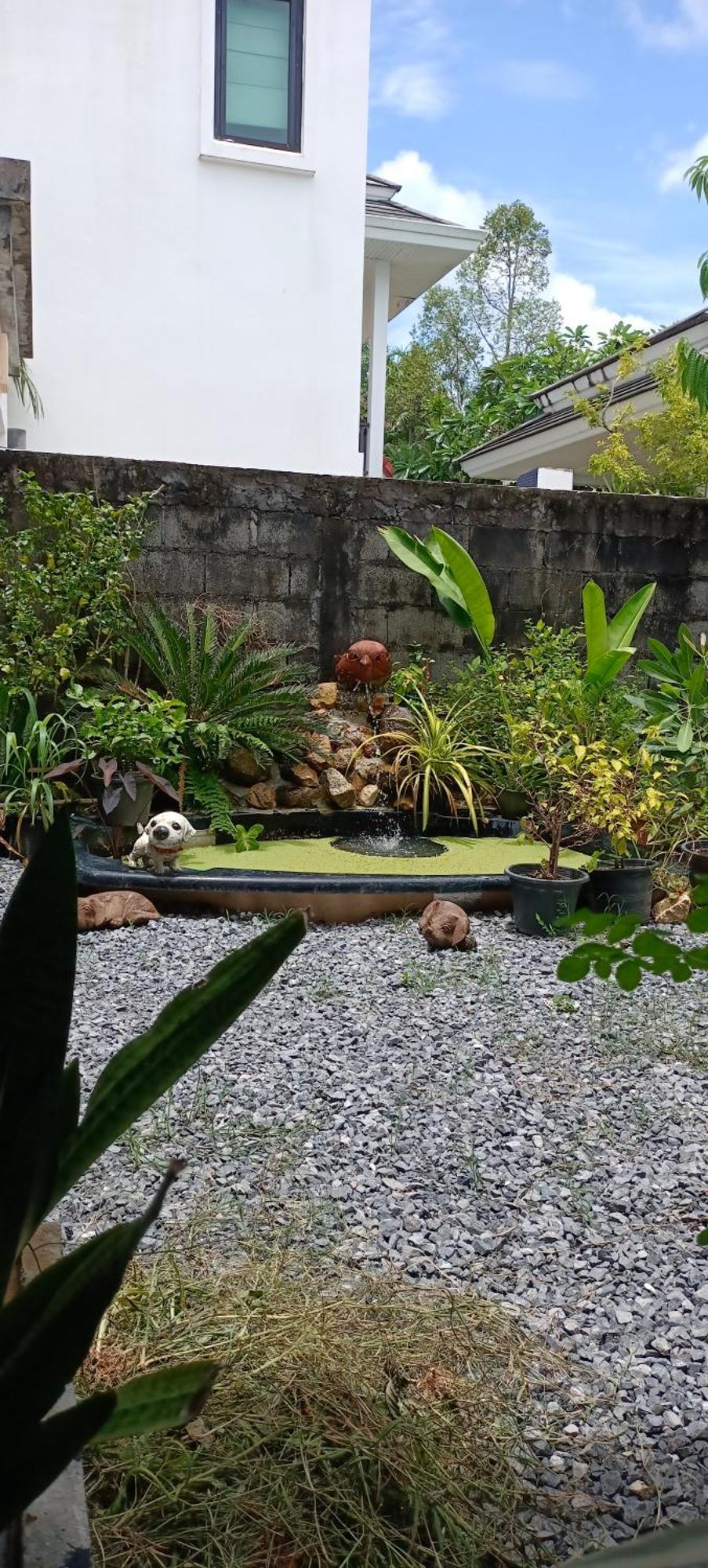 Homestay B&n House *