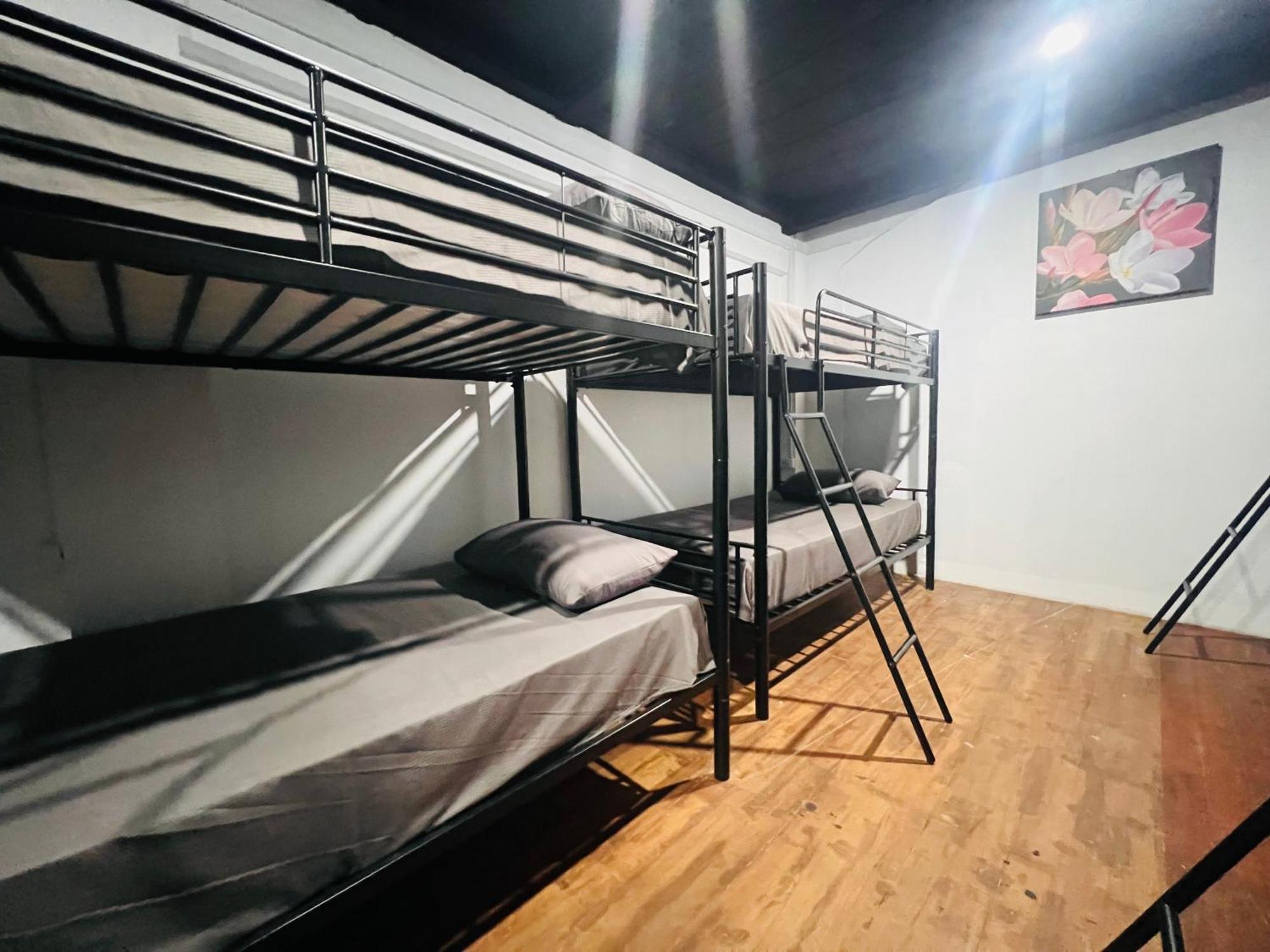Hostel Adventure