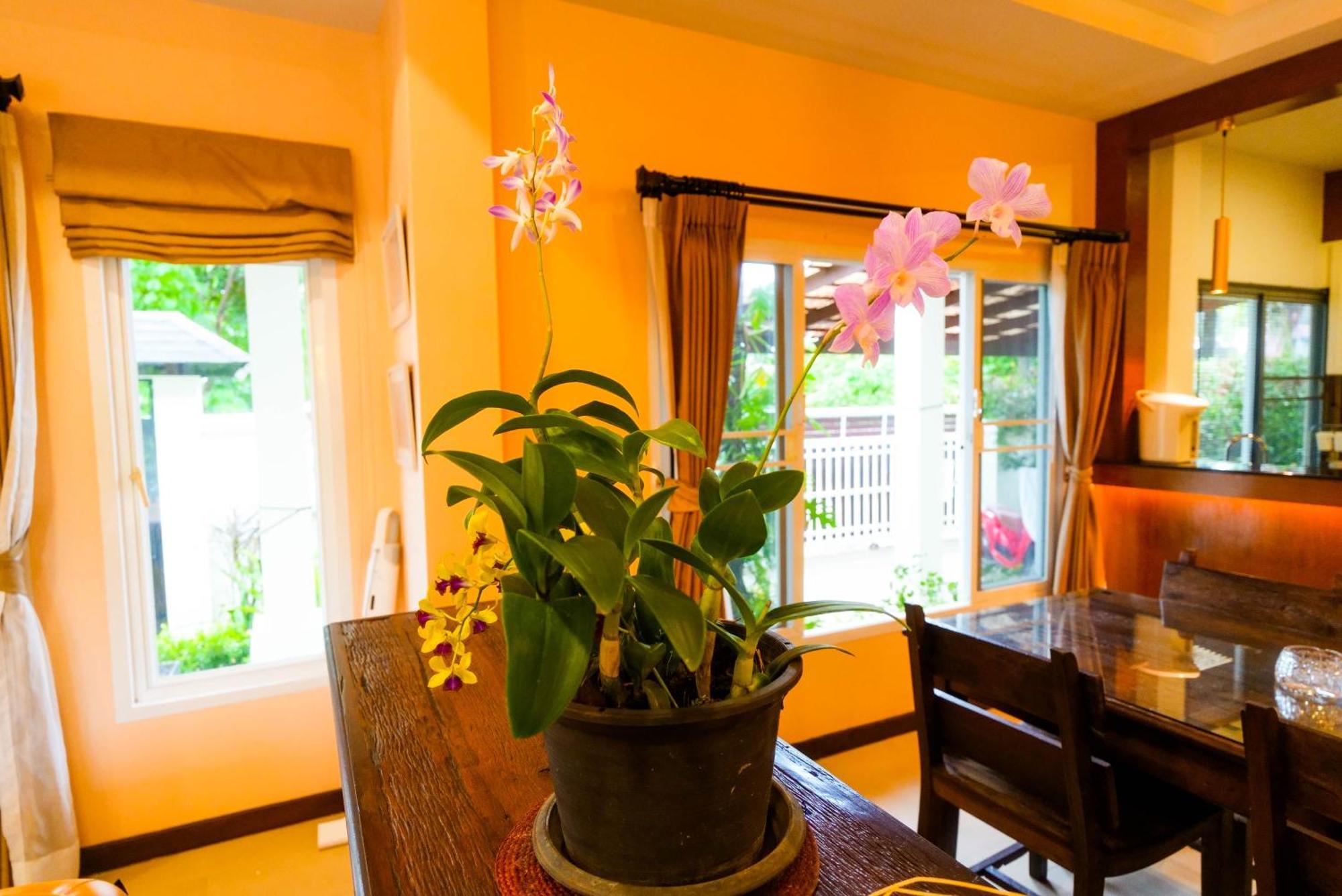 Luxurious Large Size Swimming Pool In Rawai Ban Saiyuan