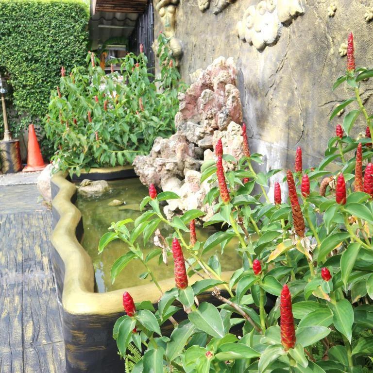 Tropical Garden Kamala Beach