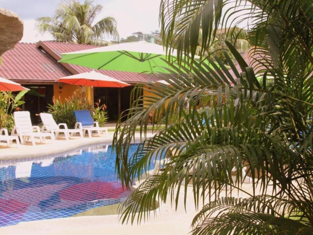 Tropical Garden