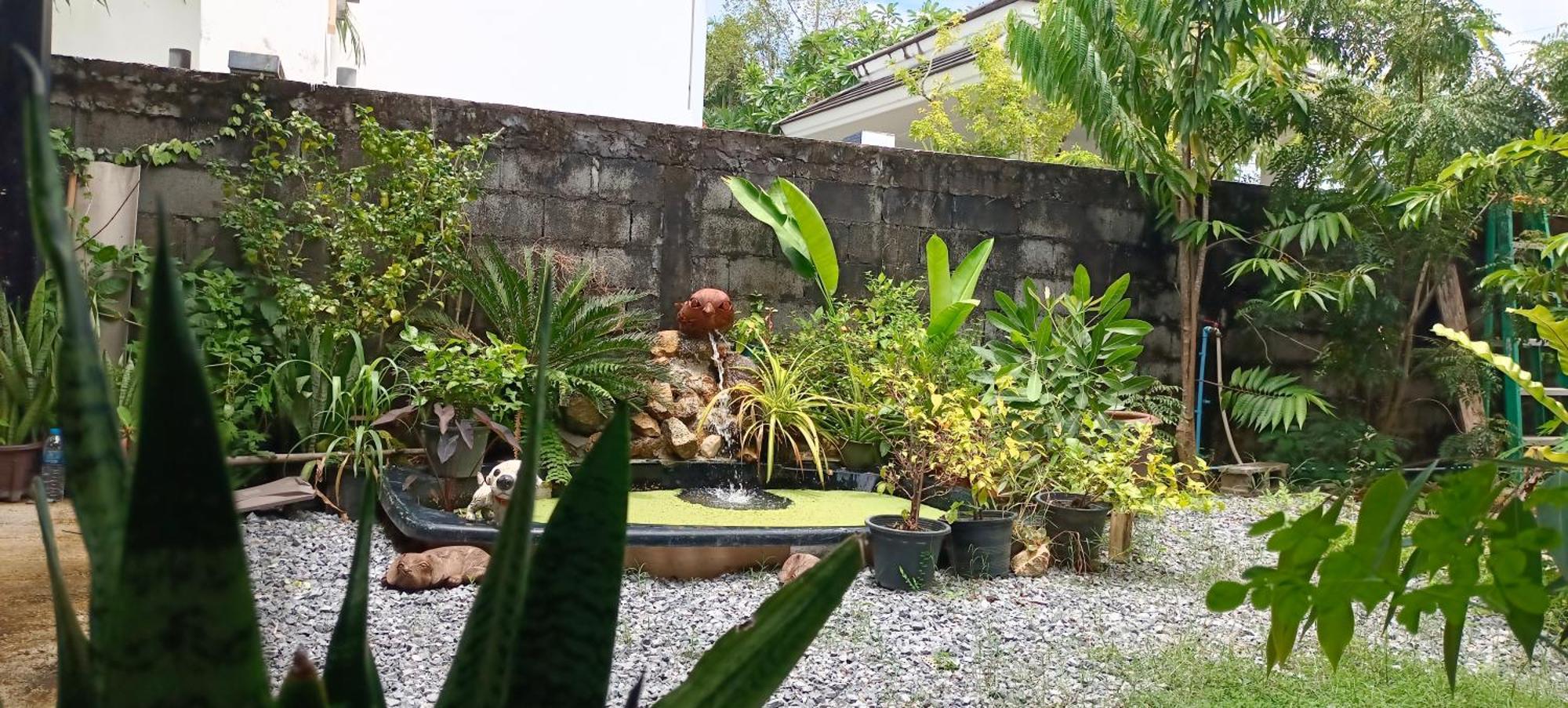 B&n House Homestay Nai Yang