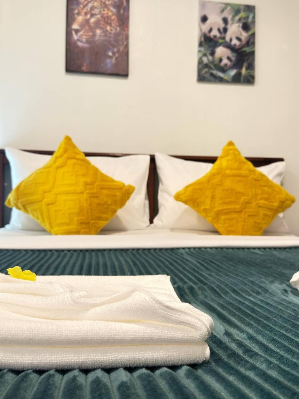 Hotel Pupa Patong