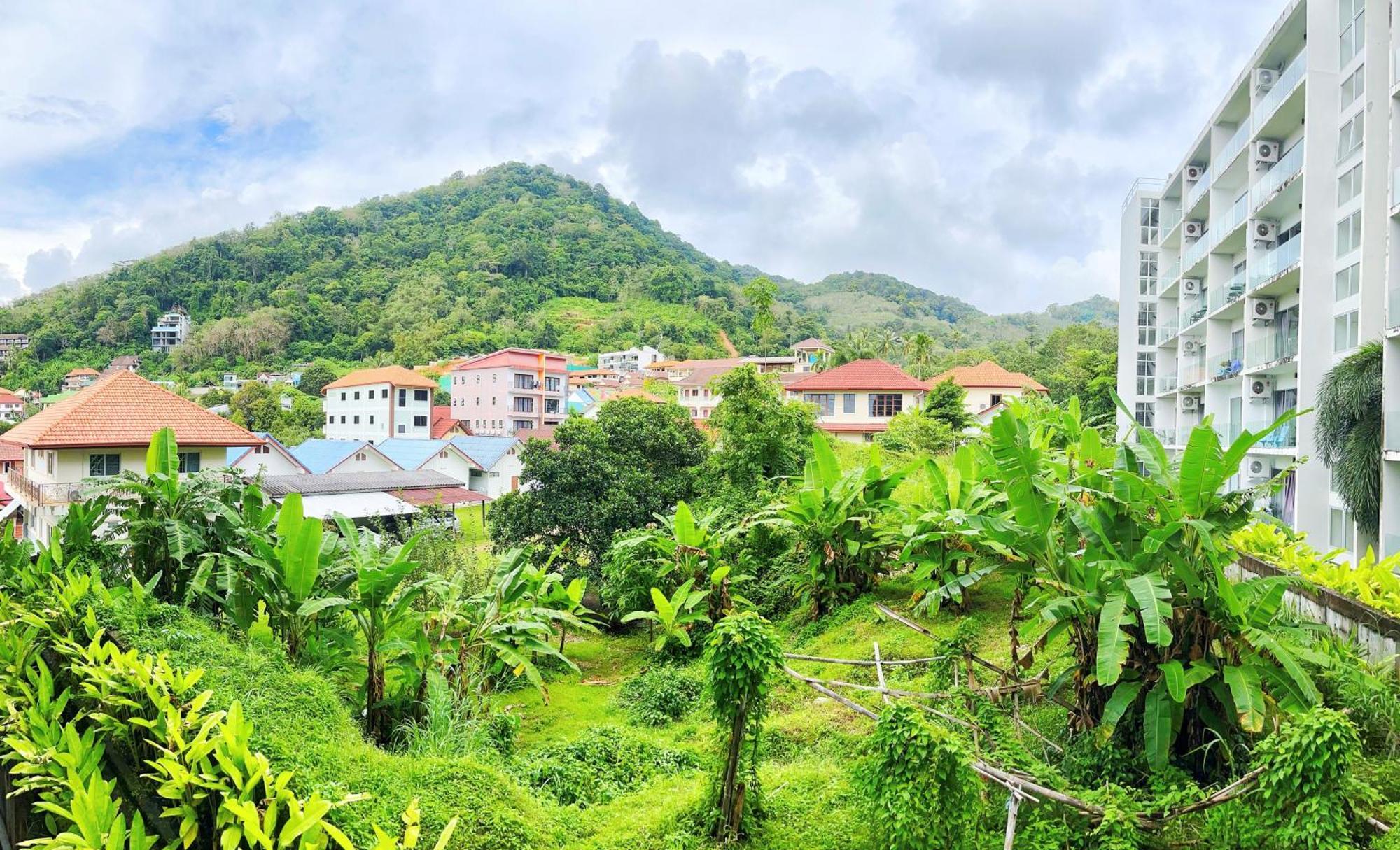 Mountain View Apartment *