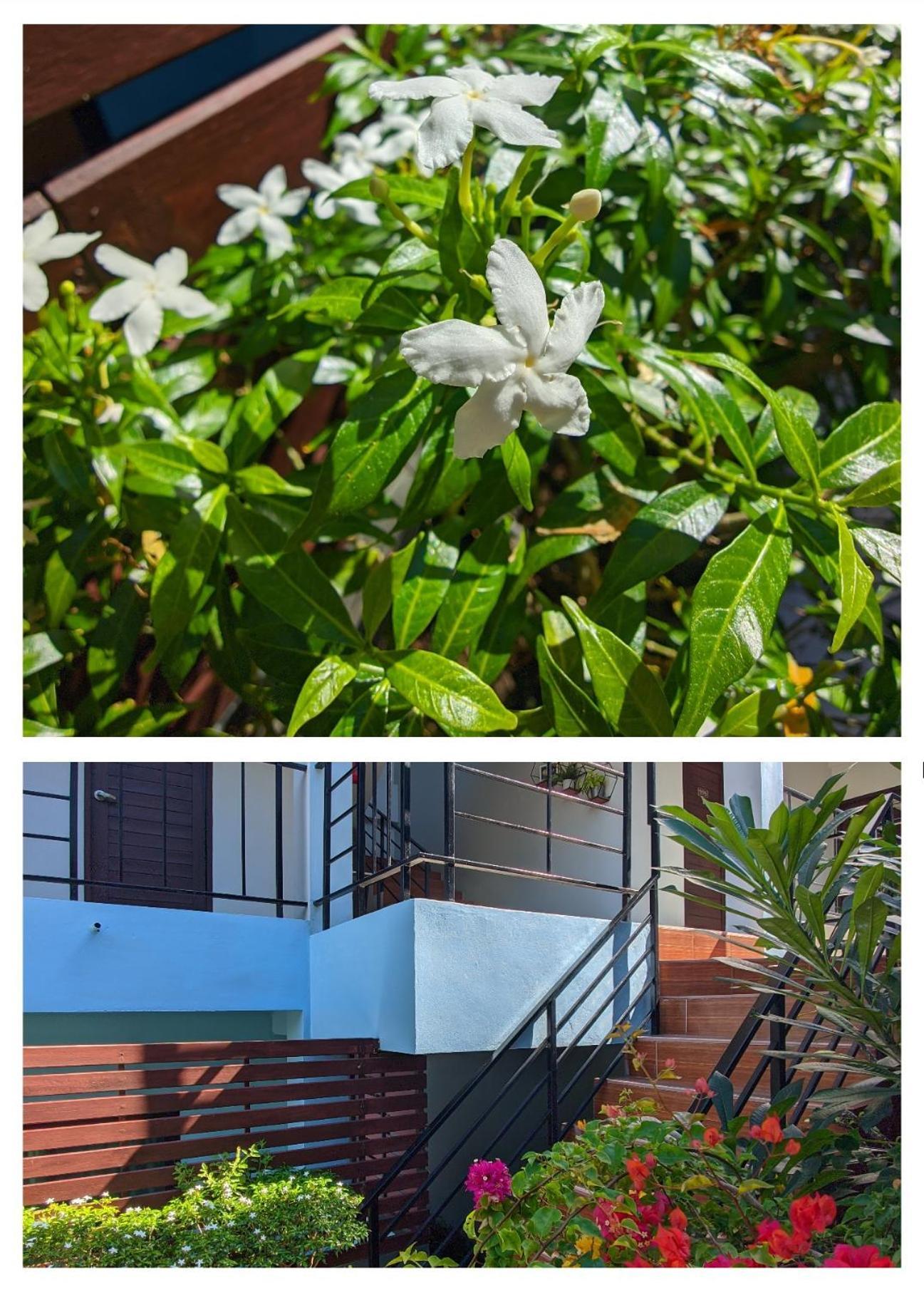 Apartment 3b Apartment-sha Extra Strand Kamala