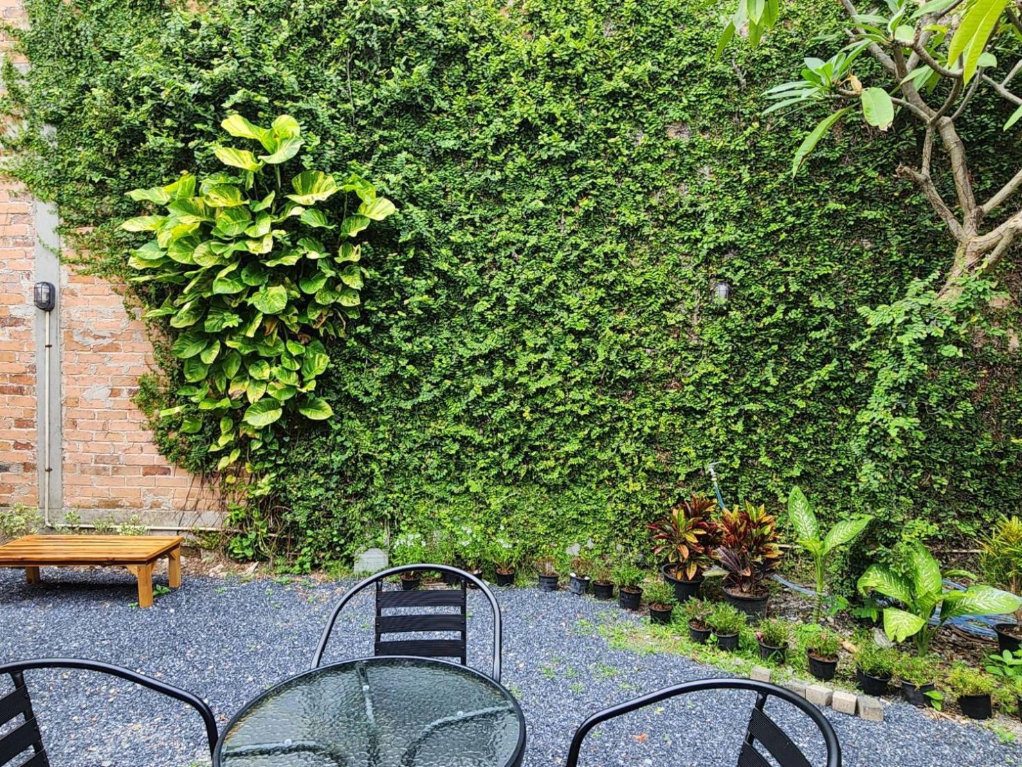 Ryb Phuket Hostel