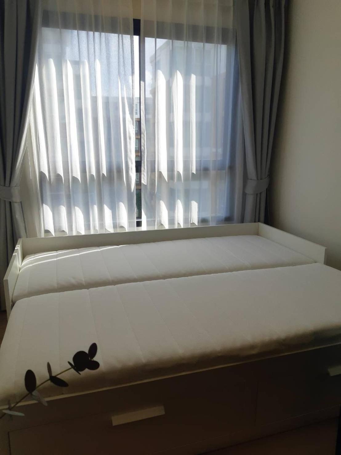 Apartment Dcondo Reef Modern 1&2 Bedrooms *