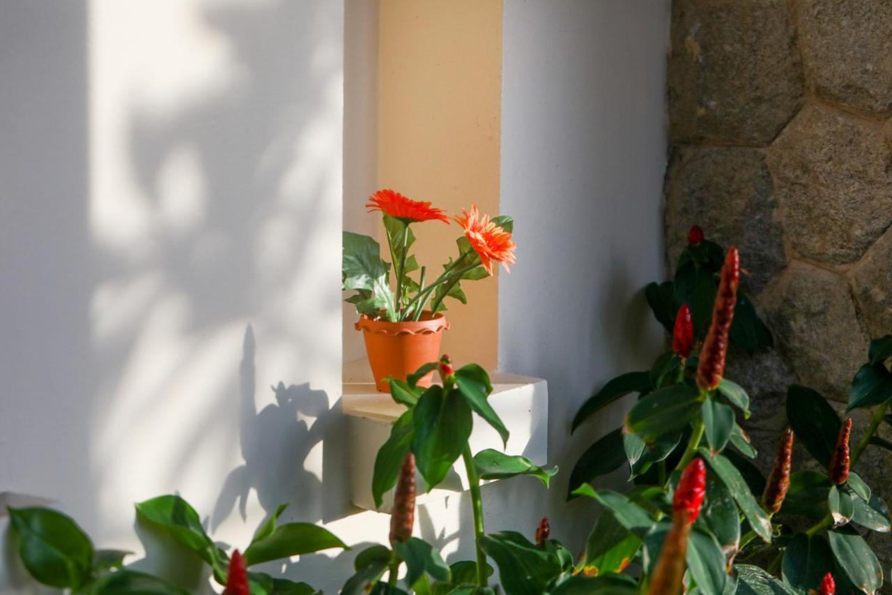 Prima Phuket Karon