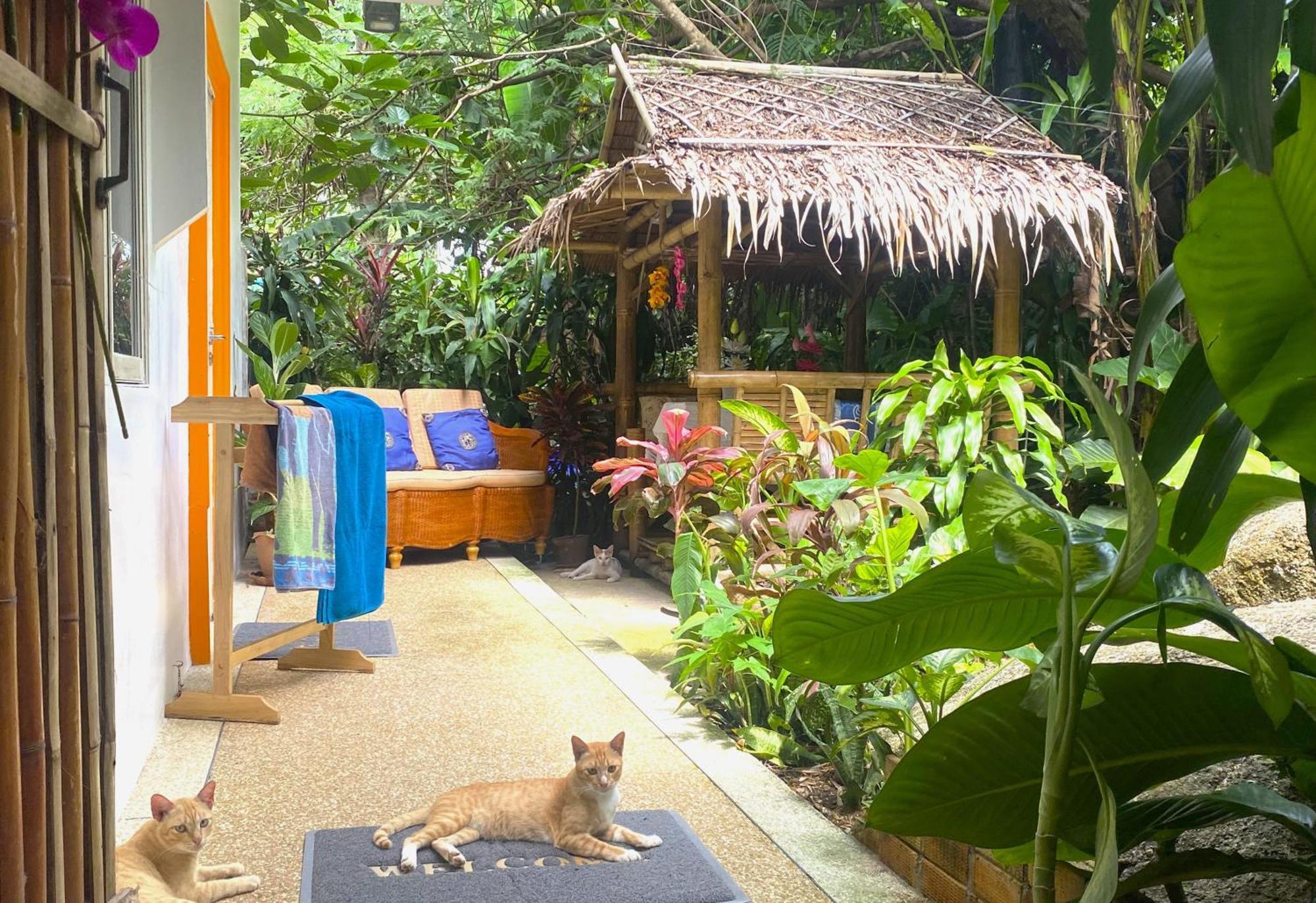 Villa Oasis & Karon