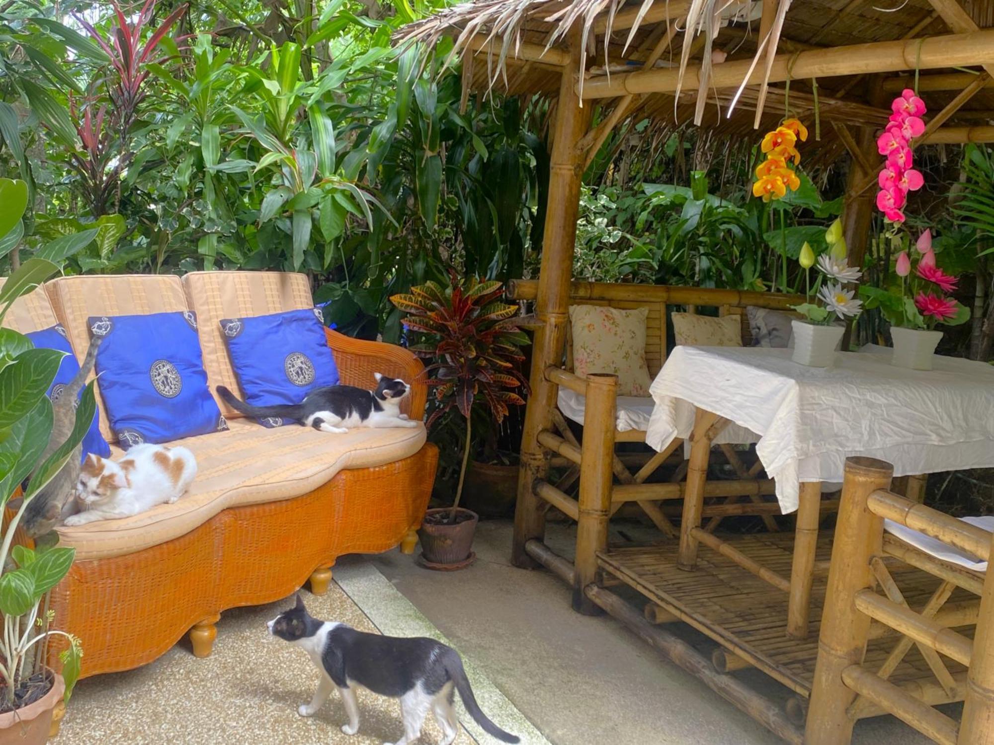 Oasis & Villa *