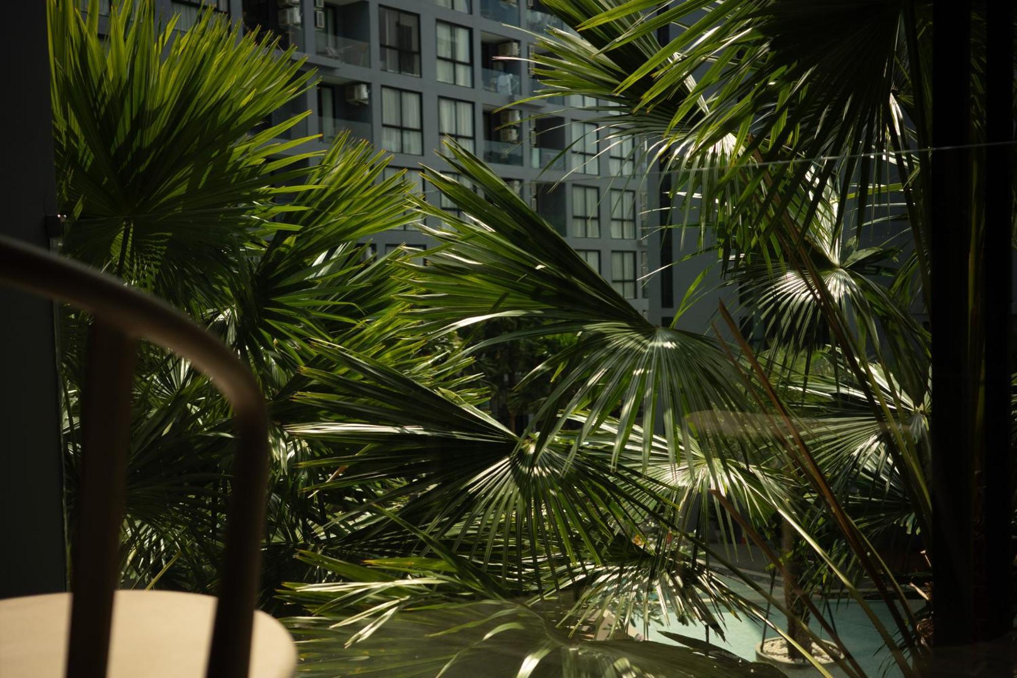 Sabay N303 With Scenic Pool View Surrounded By Palm Trees In Citygate Kamala *