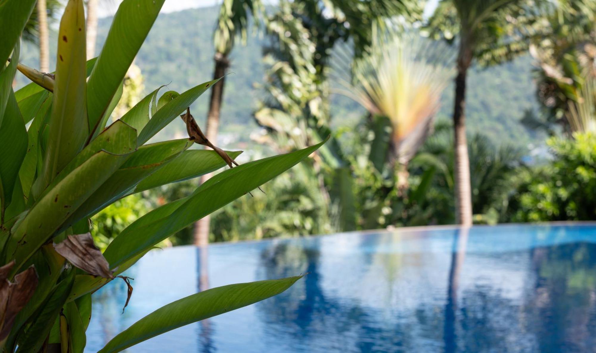 Villa Baiyok Seaview And Edge Pool Patong