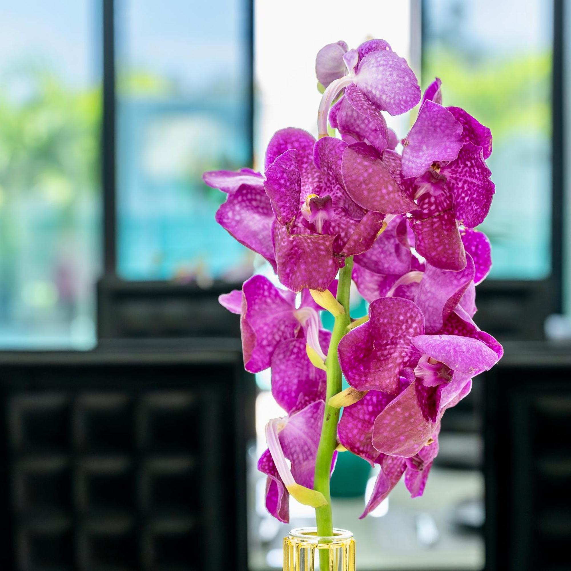 2ms Zen Luxury For Family & Friends, 4 Bdr, Private Pool, Rooftop, Kids' Playground