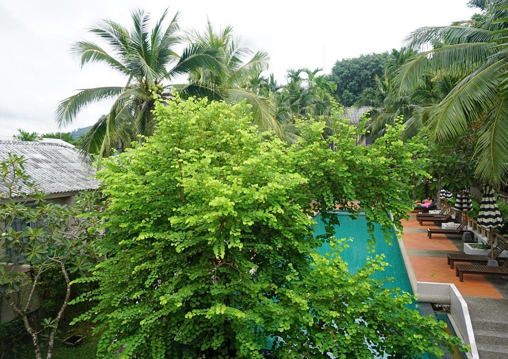 Resort Signature Phuket Sha 4*