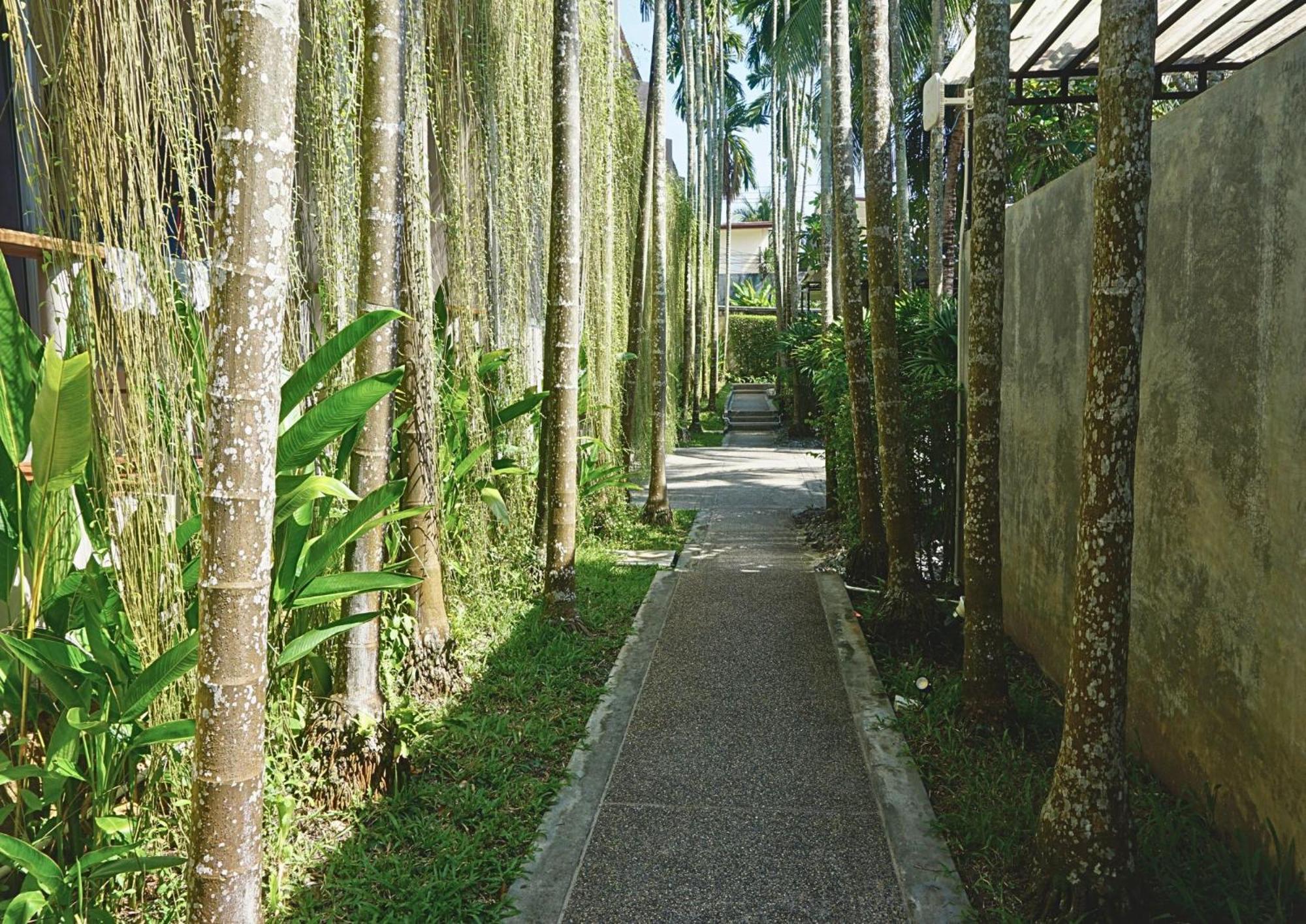 Signature Phuket Sha 4*