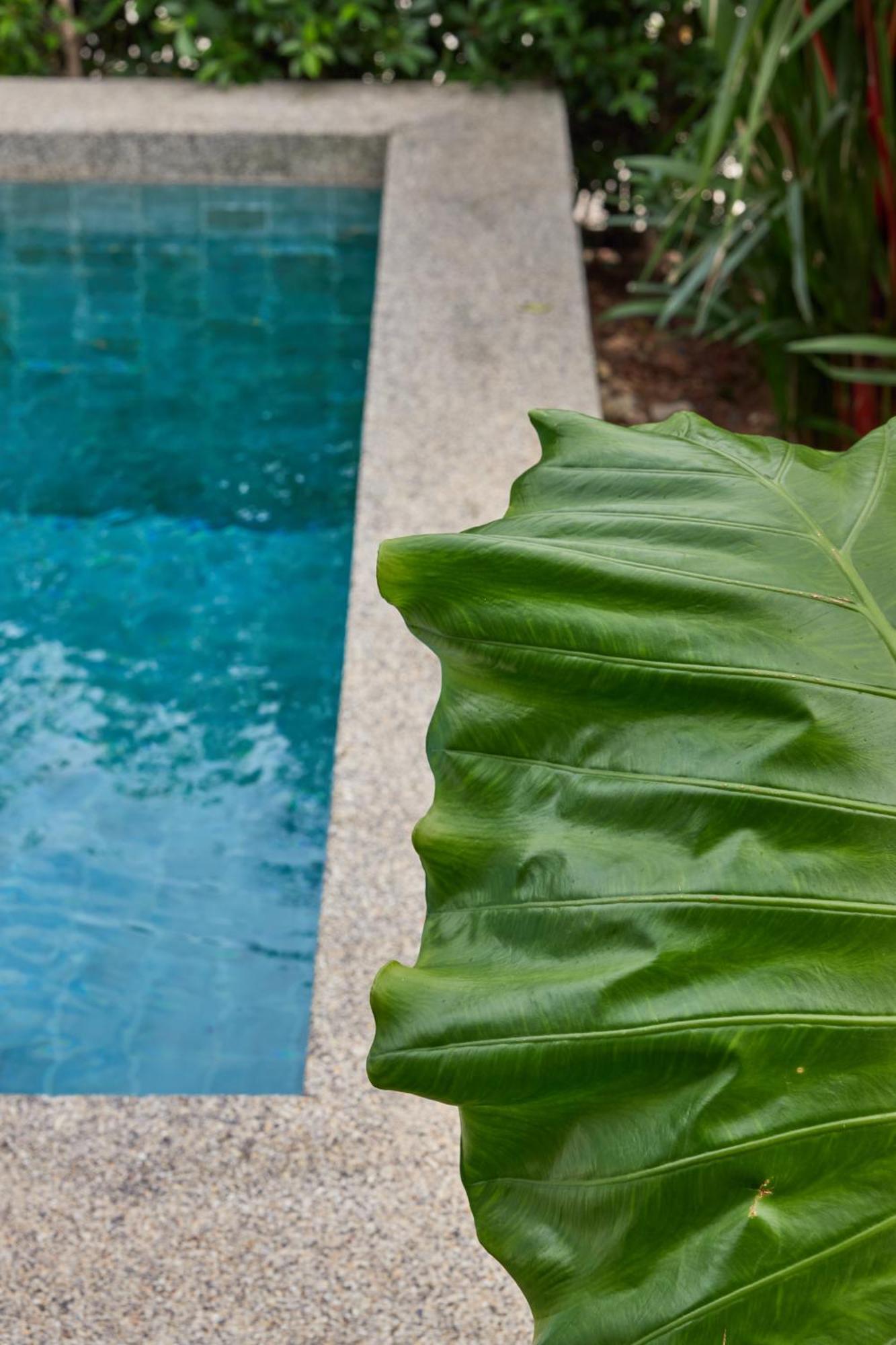 15min To Kata, 7min To Closest - New Pool *