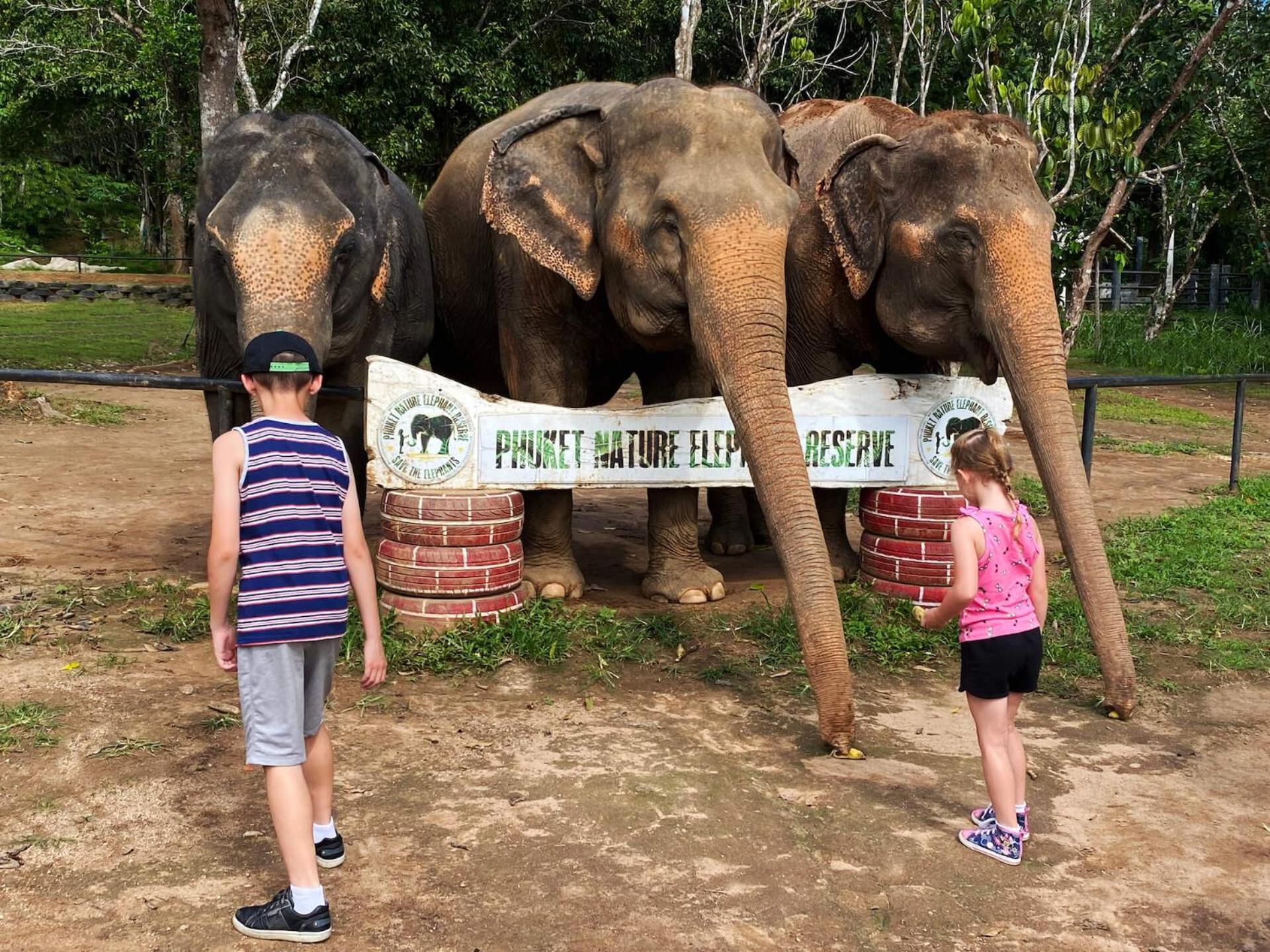 Snooze Phuket - Free Shuttle To Bang Rong Pier Pa Khlok