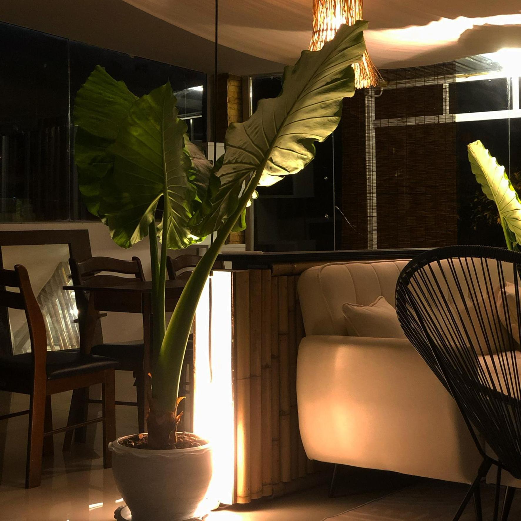 Til Dawn Phuket