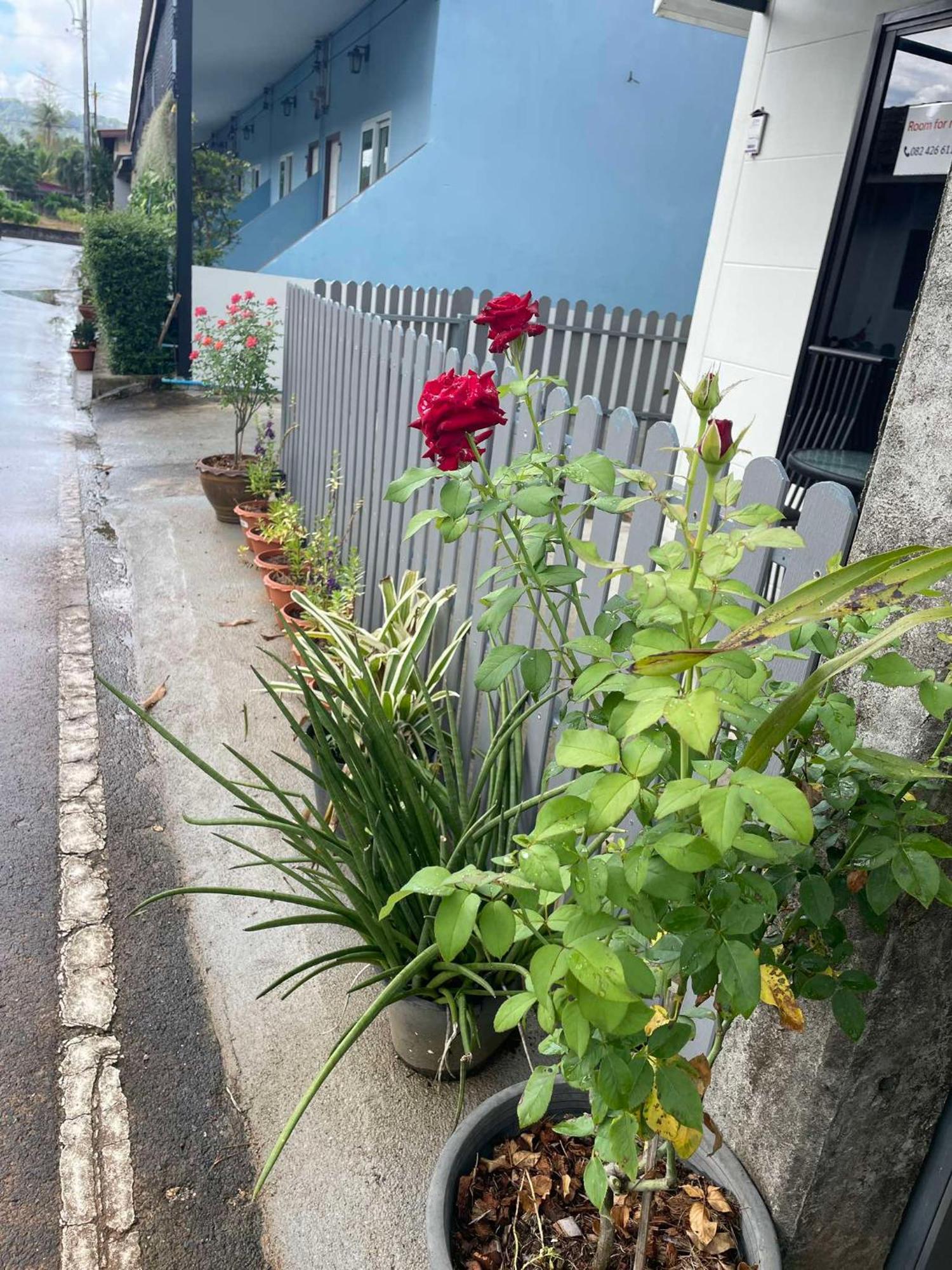 Yada House Guest house Thalang