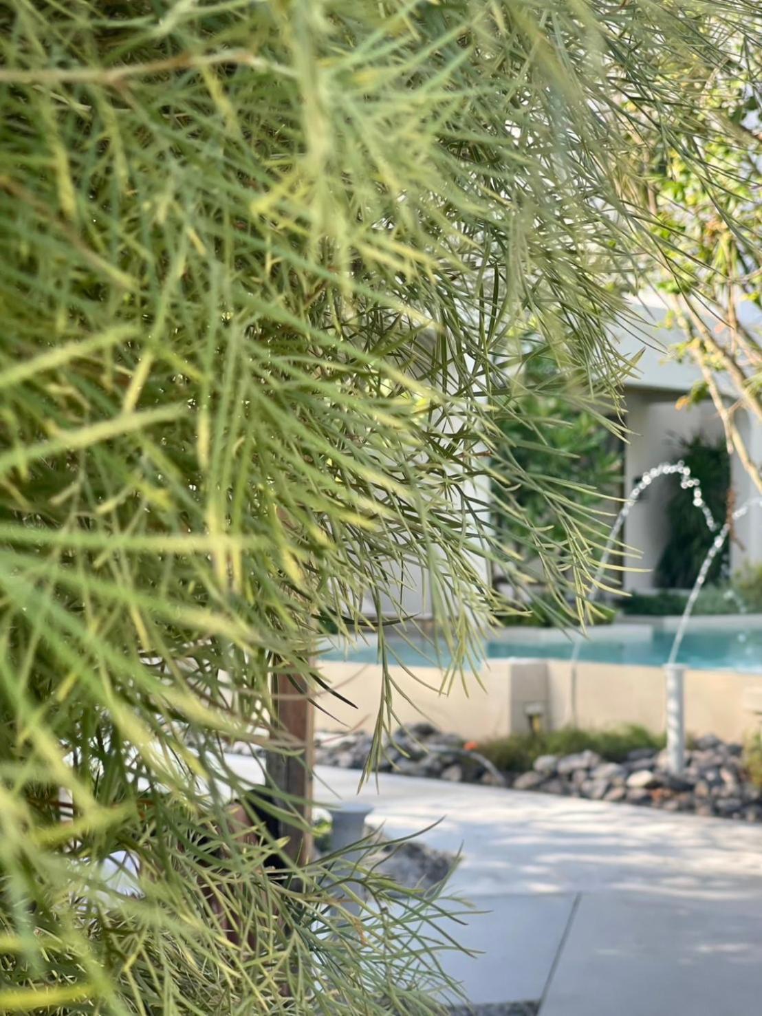 Resort Eden