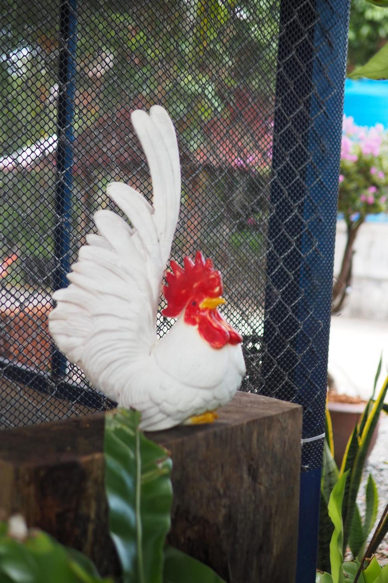 Omloft * Phuket