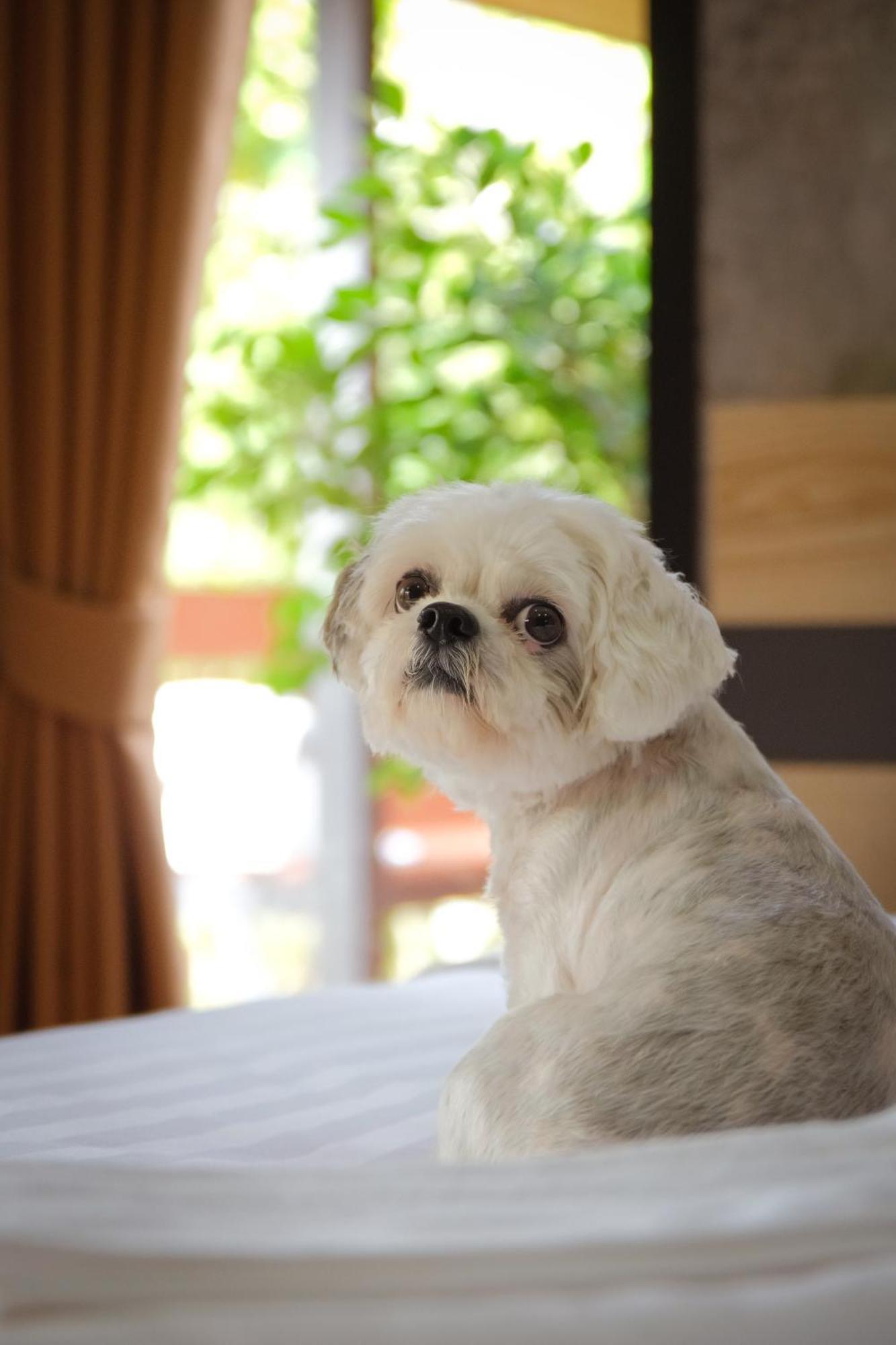 Hotel The Secret Lagoon Ban Suan (Phuket)