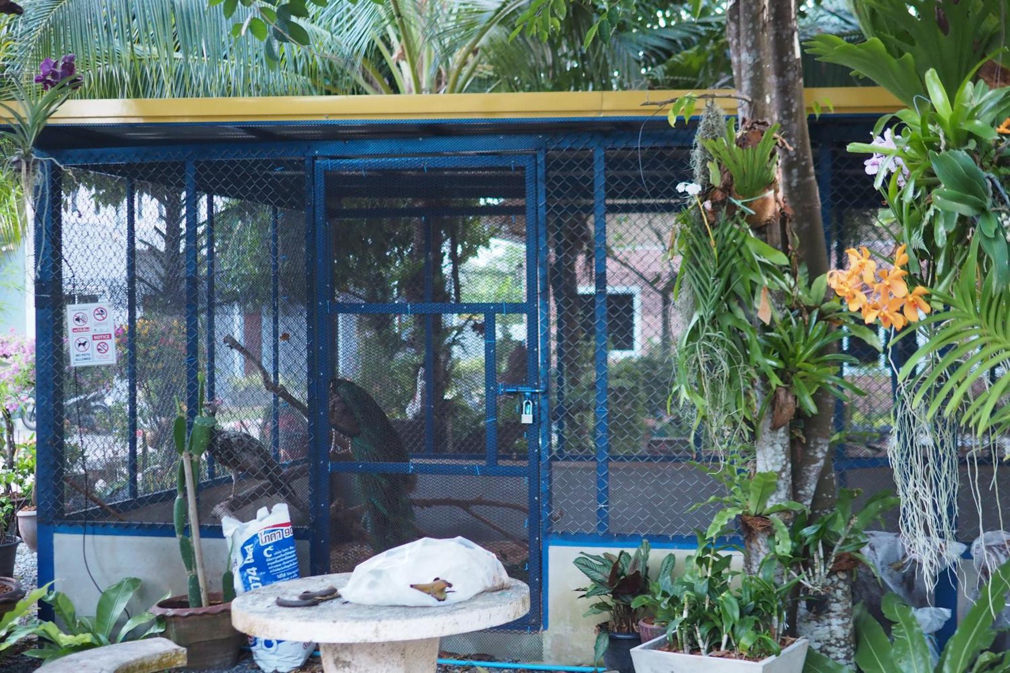Villa Omloft Phuket
