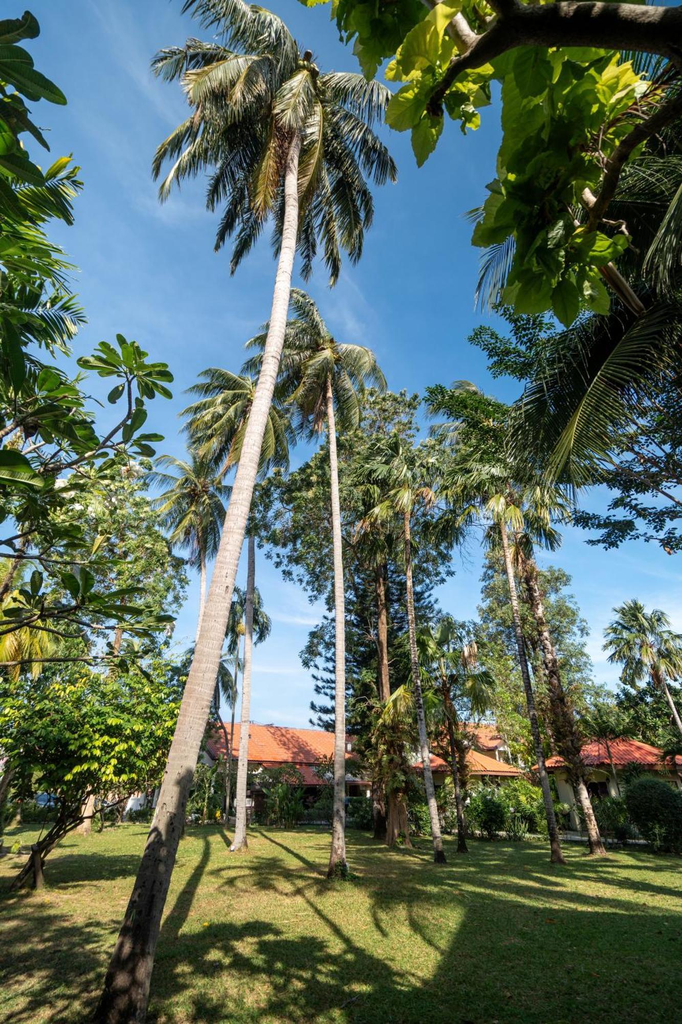 Phuket Leelavadee Hua Ting
