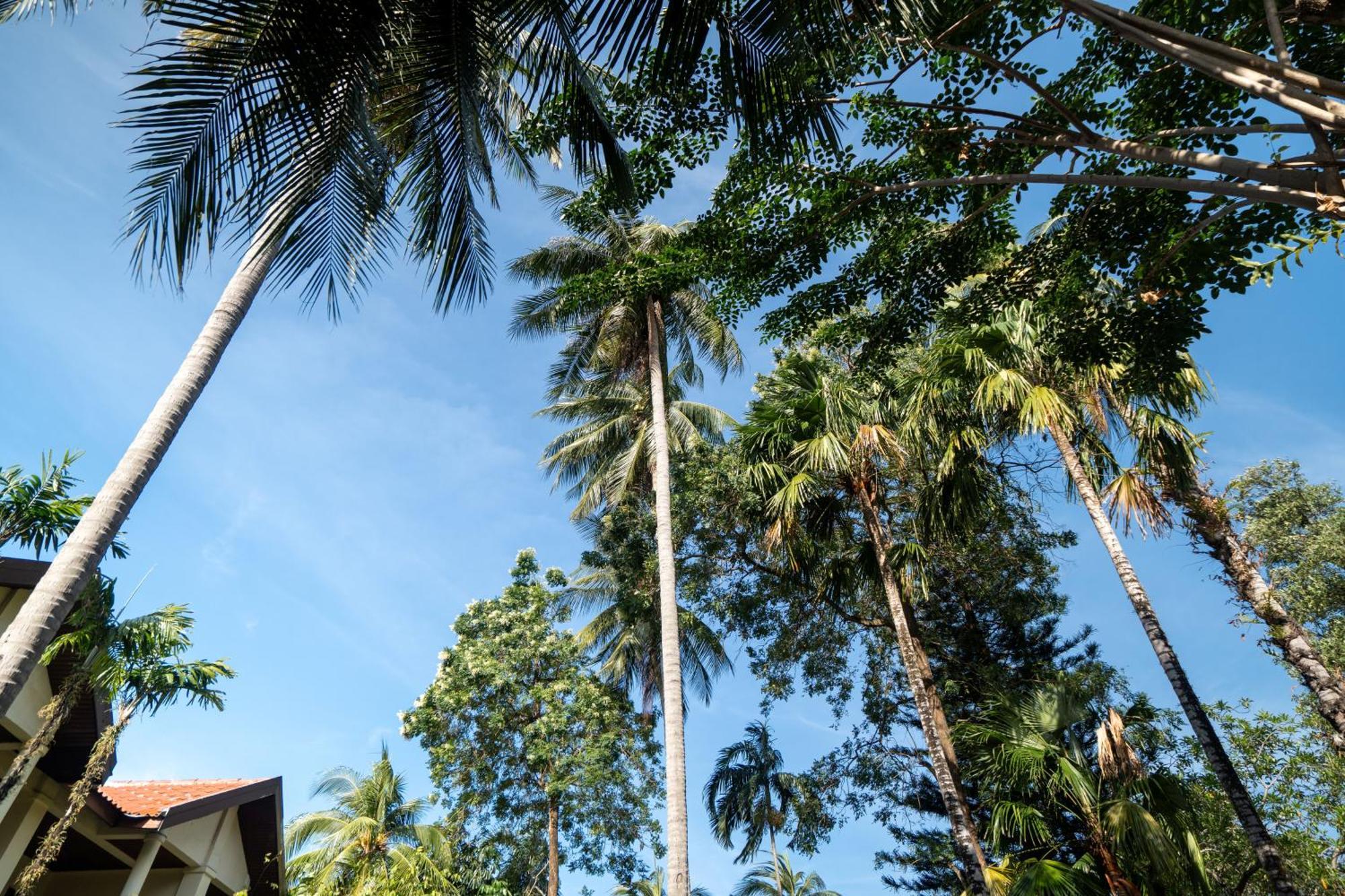 Phuket Leelavadee Hua Ting Resort