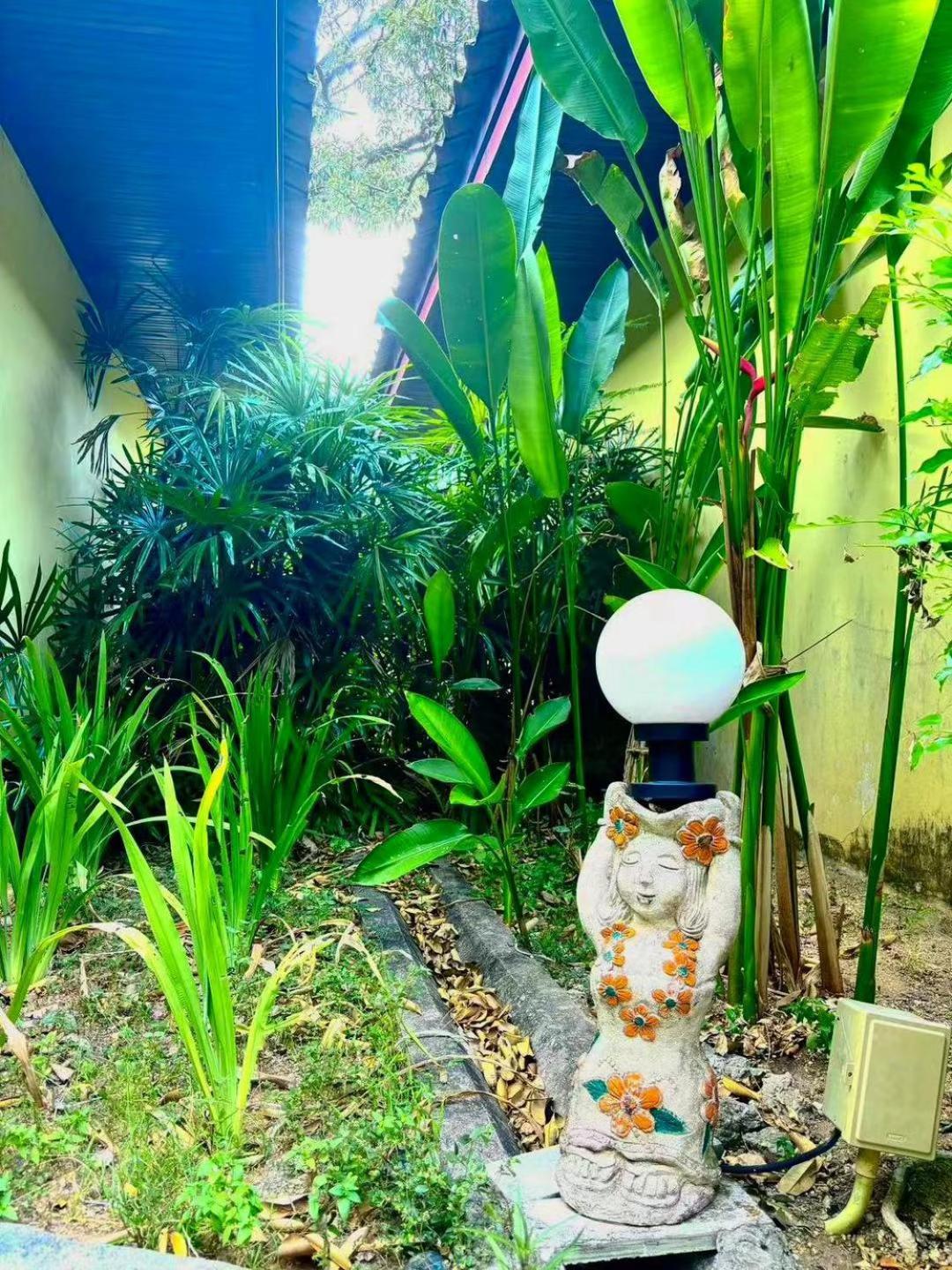 Homestay Beautiful Pool Patong