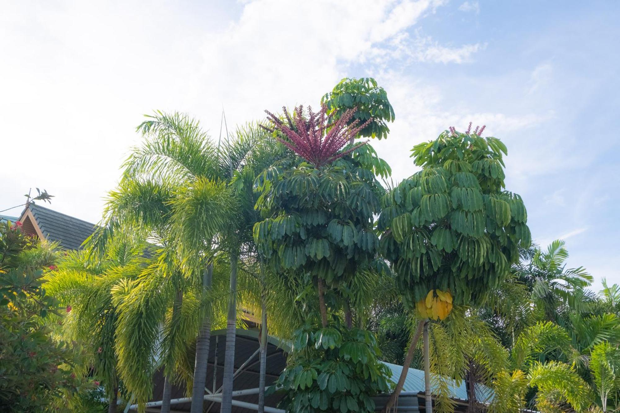 Resort Blue Grand And In Chalong Phuket By Dayuu 5*