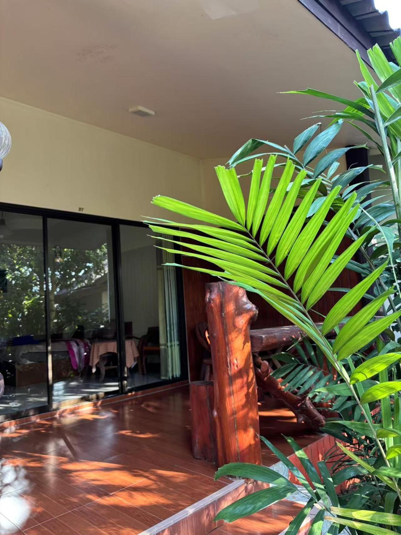 Oya International Phuket Hotel