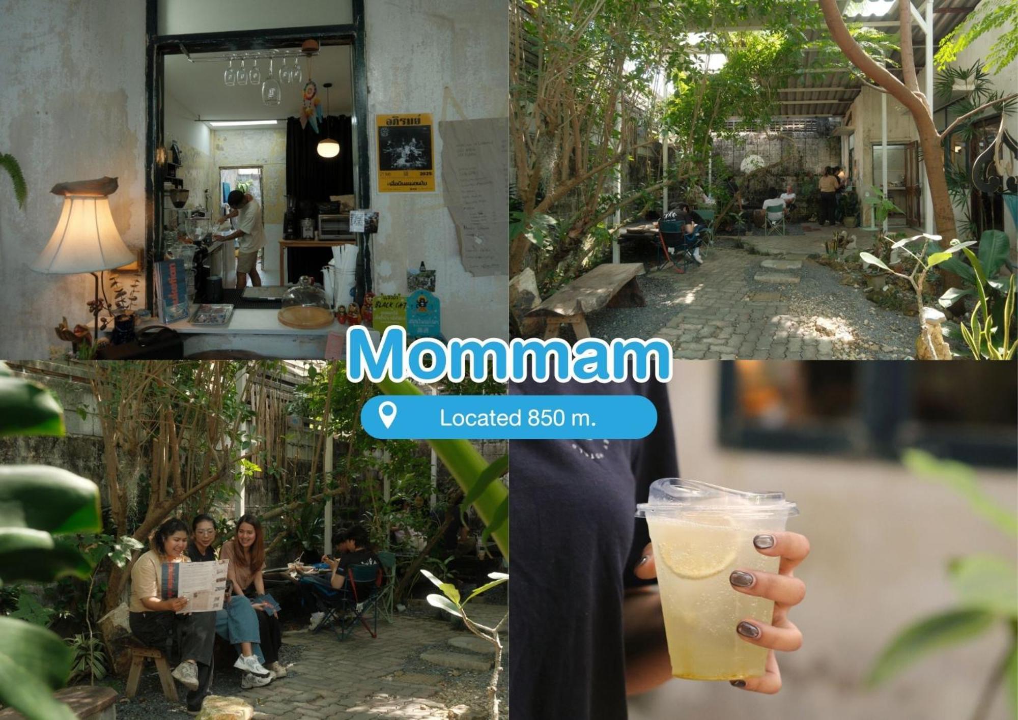 Blu Monkey Hotel 3*