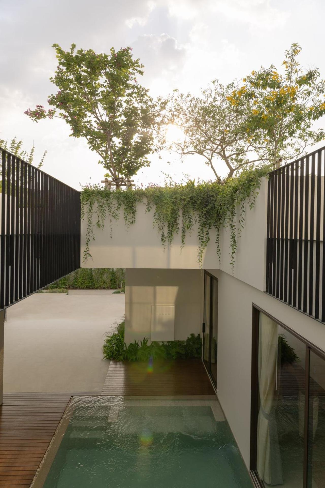Villa Tree O'clock Pool - Phuket Thalang