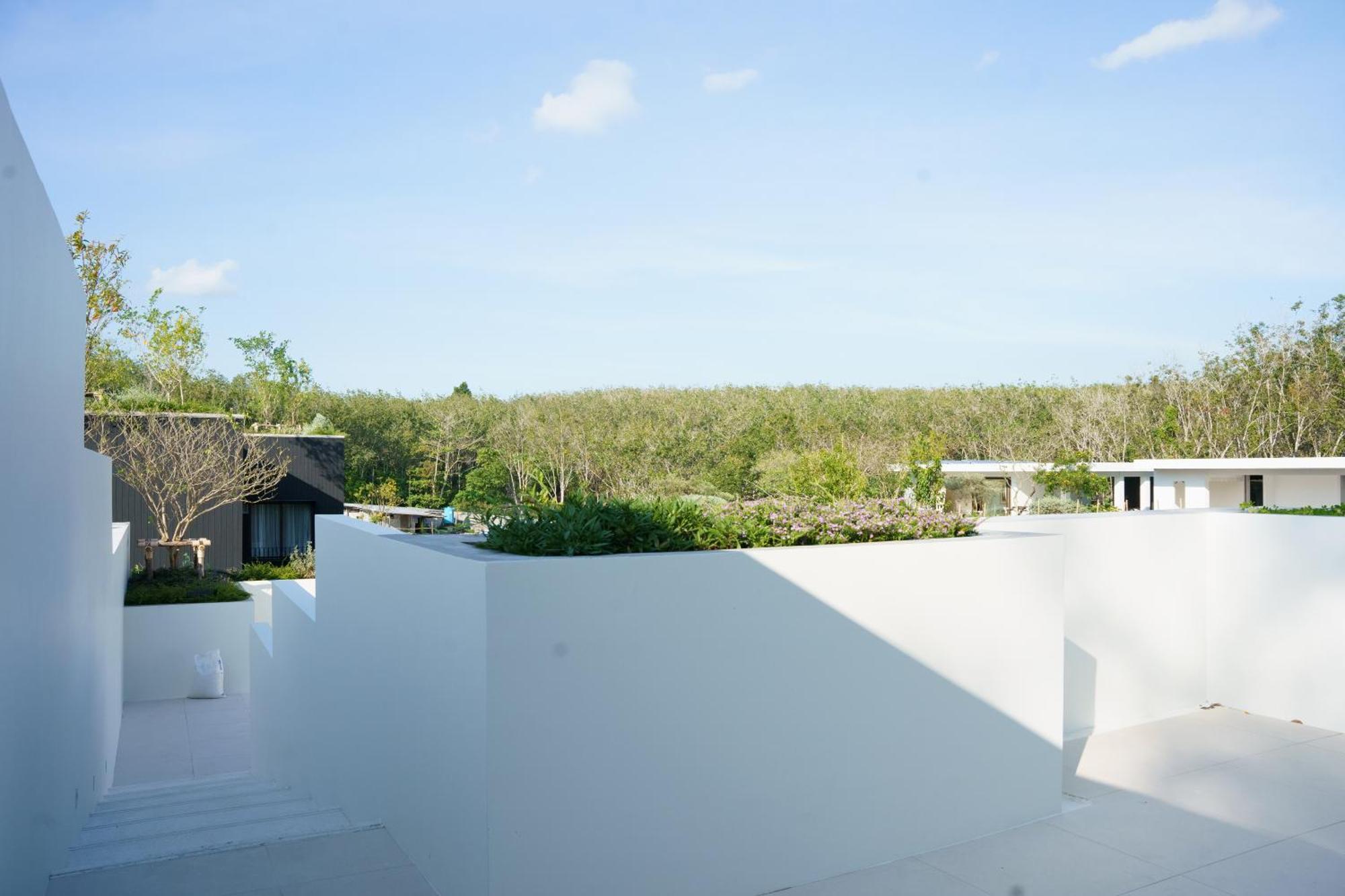 Tree O'clock Pool - Phuket Thalang