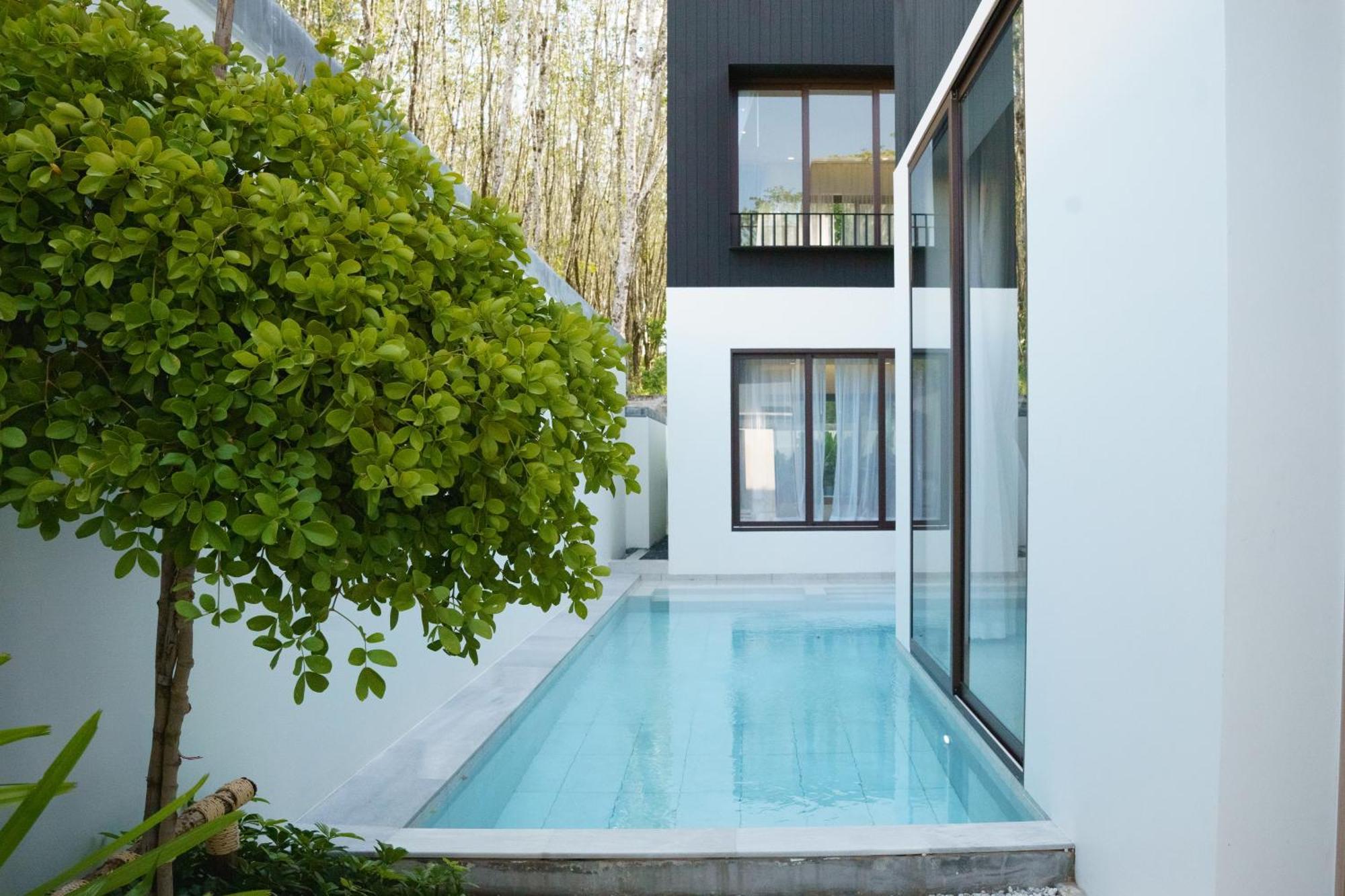 Tree O'clock Pool - Phuket Villa Thalang
