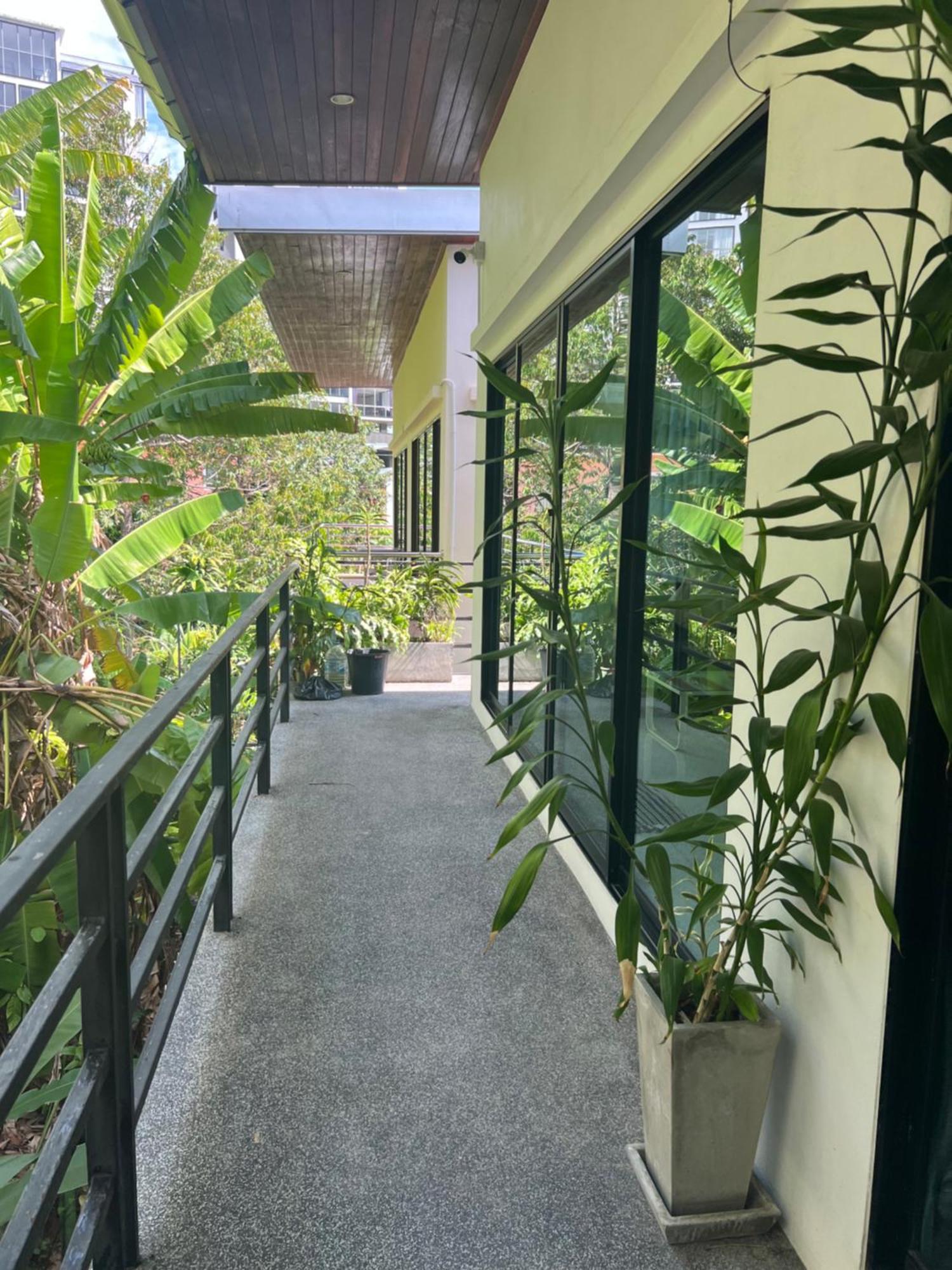 Nern Khao