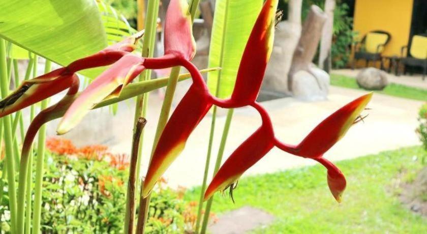 Tropical Garden 3*