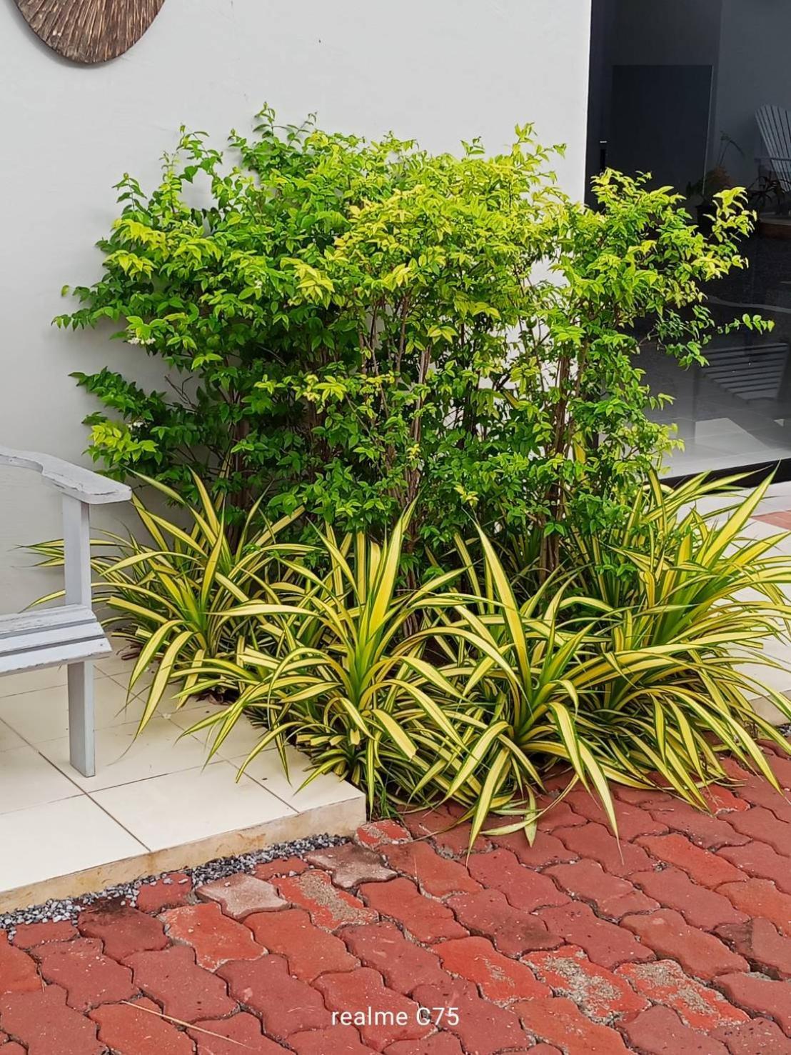 Apartment Pakrongcheep Ban Muang Mai