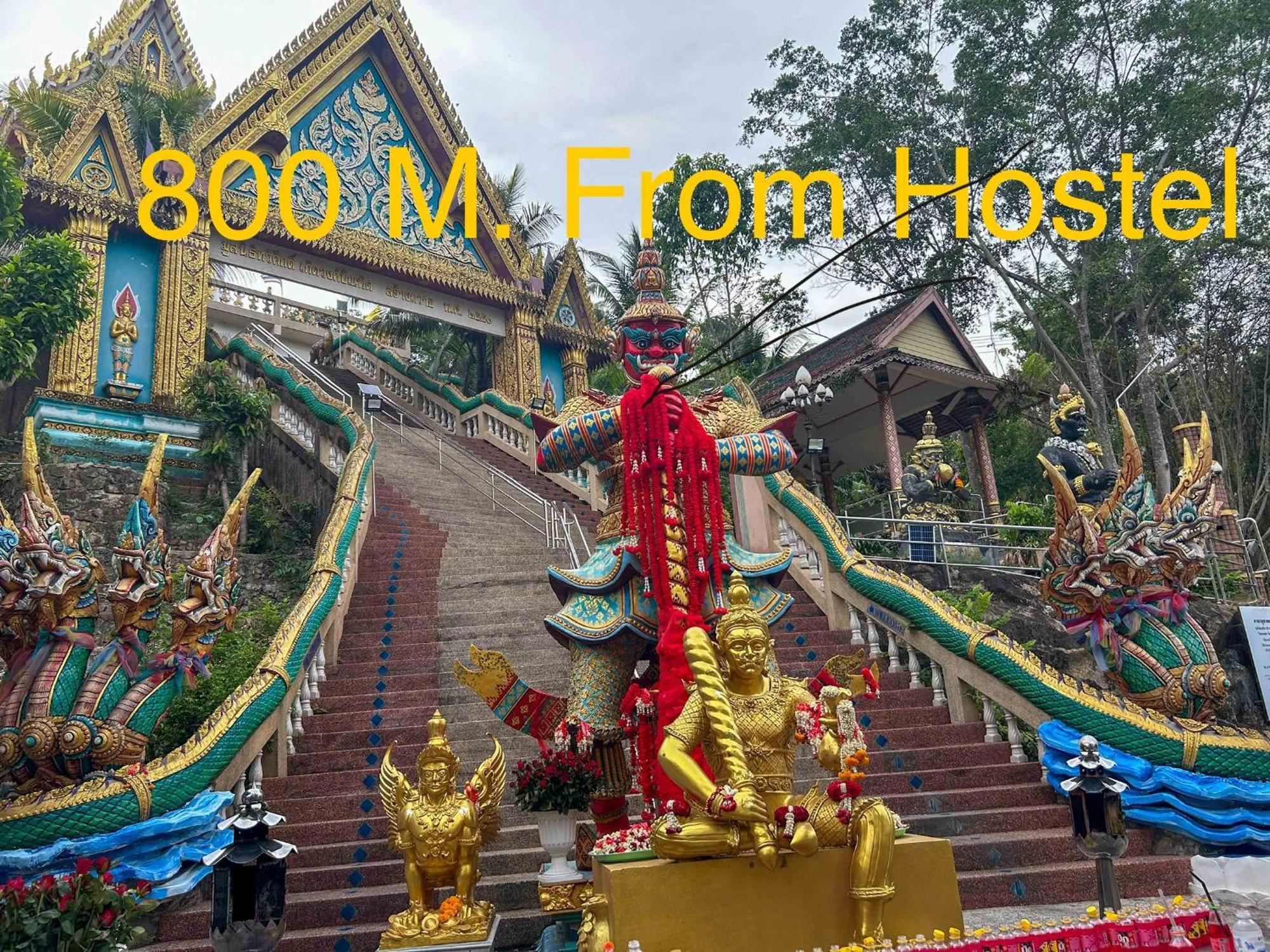 Mt Backpacker Old Town Hostel Phuket