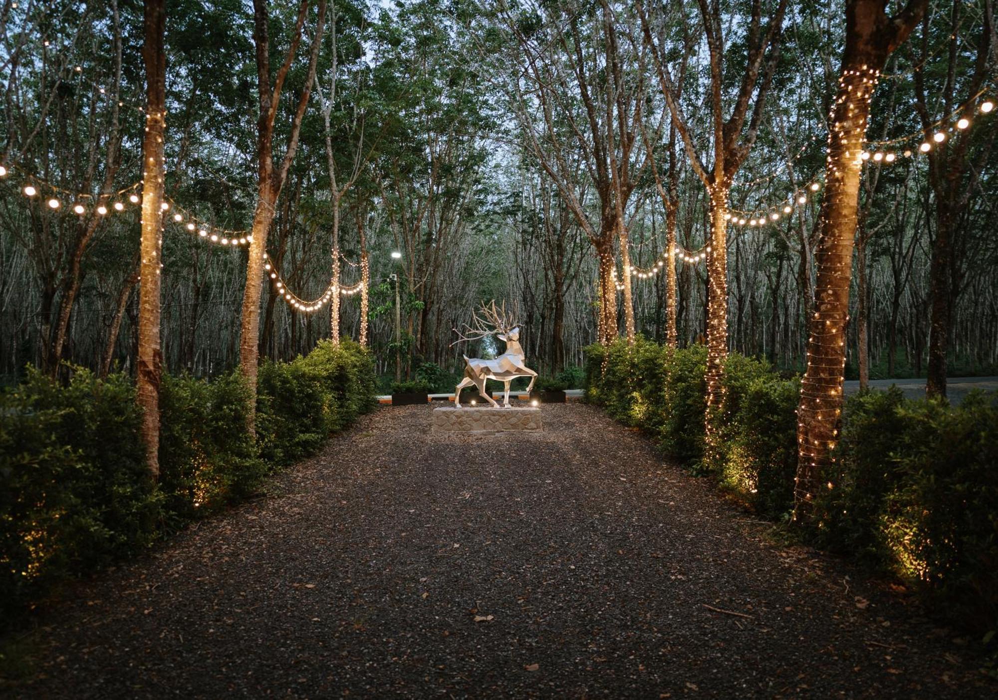 Timber Society Boutique Hideaway Hotel Phuket